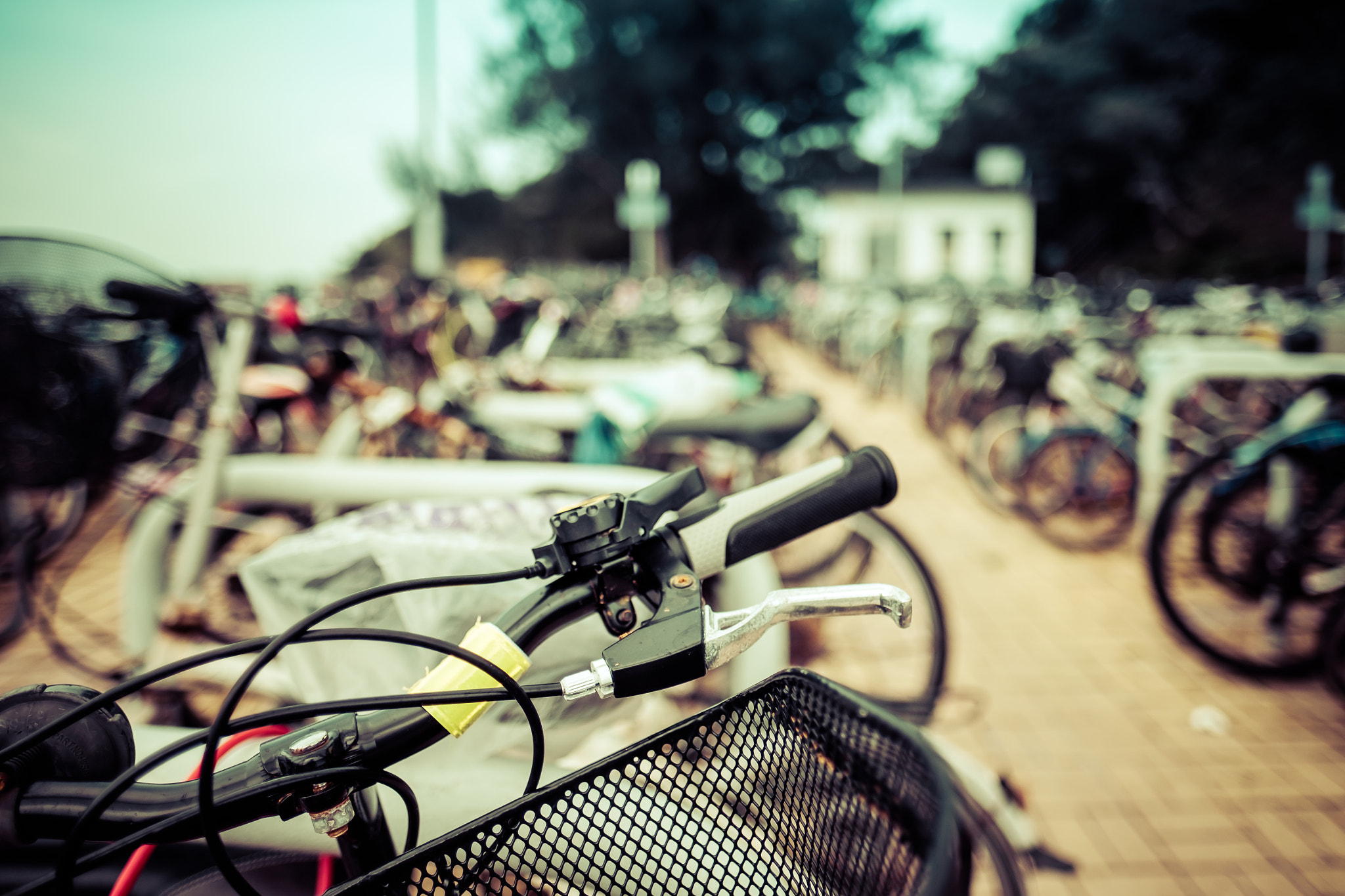 Fujifilm X-T10 + Fujifilm XF 16mm F1.4 R WR sample photo. Bicycle handlebar photography