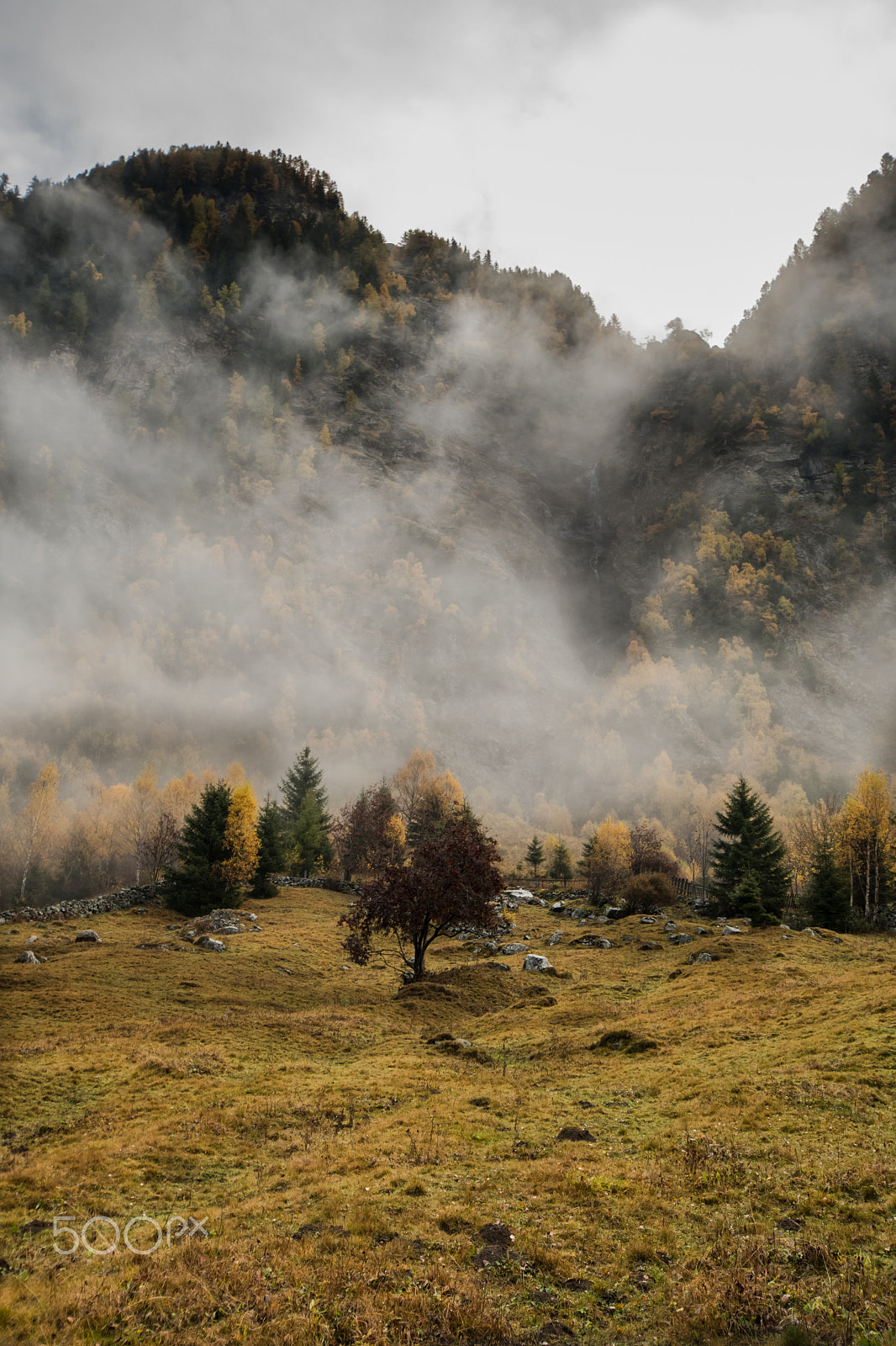 Nikon D500 sample photo. Autumn colours photography