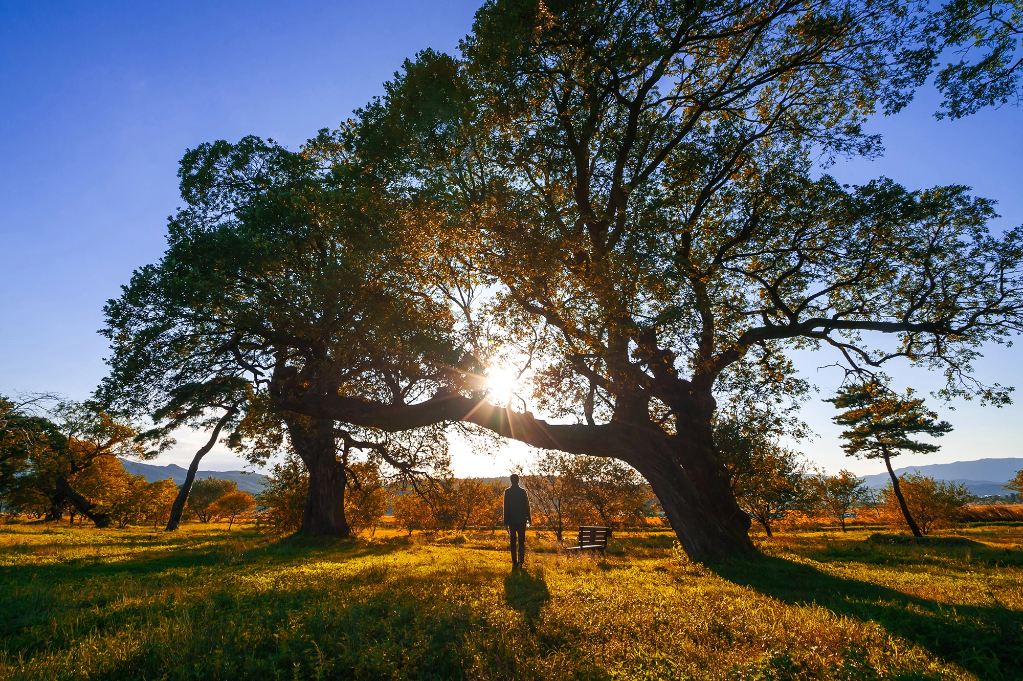 Nikon D700 + Sigma 12-24mm F4.5-5.6 II DG HSM sample photo. Sunset photography