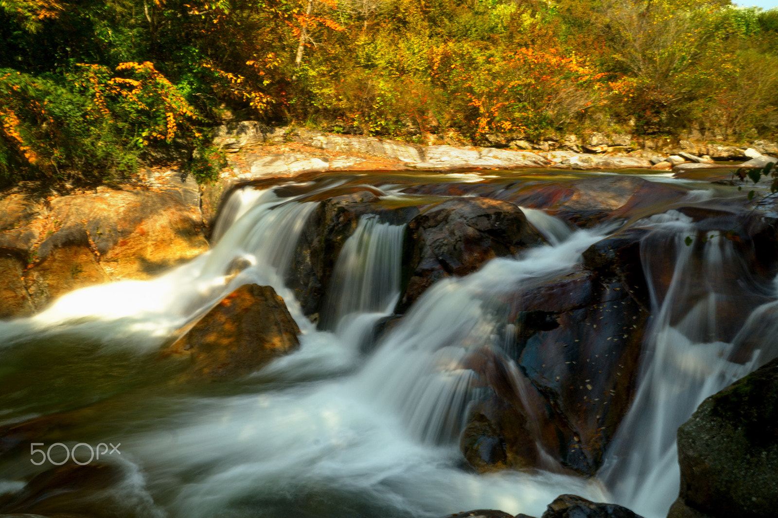 Sony DT 18-200mm F3.5-6.3 sample photo. Natural photography