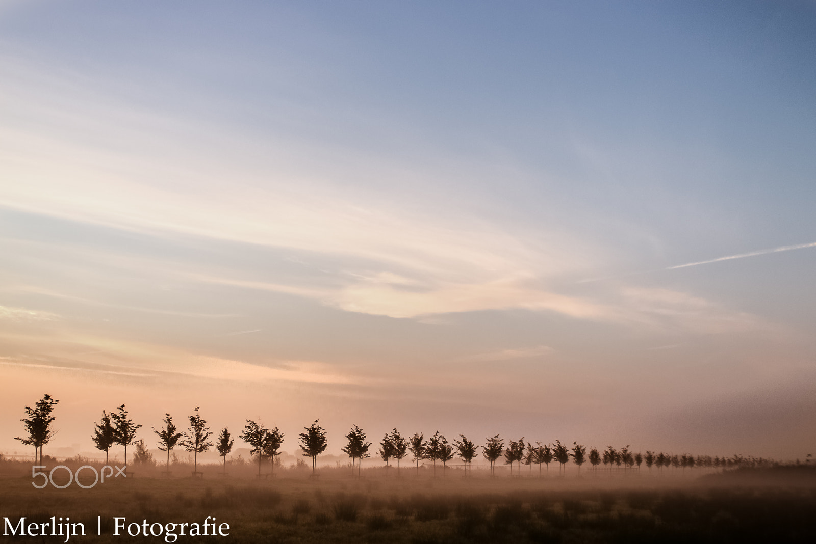 Nikon D600 + Sigma 24-70mm F2.8 EX DG Macro sample photo. Nr58: misty landscape photography