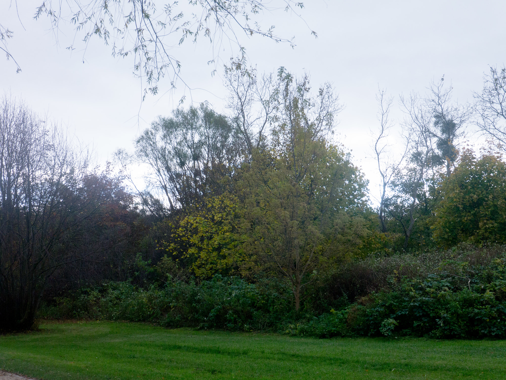 LUMIX G VARIO PZ 14-42/F3.5-5.6 sample photo. Simple nature part 2 photography