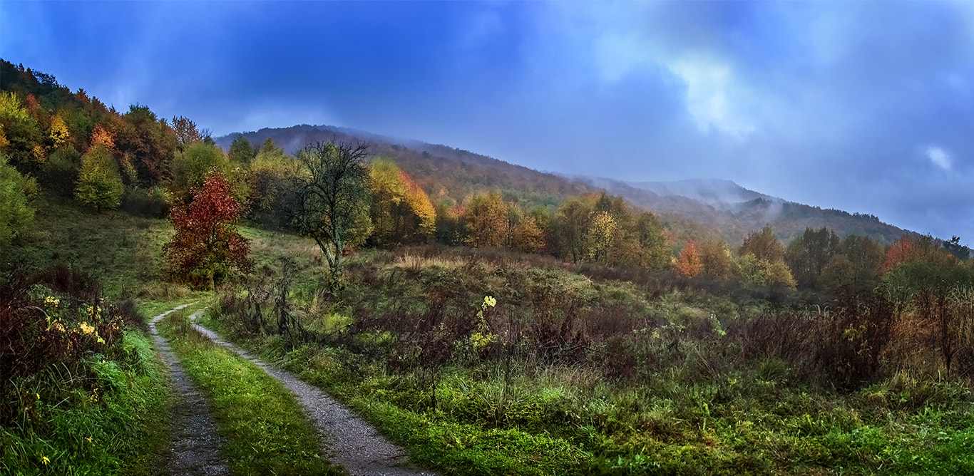 Nikon D3200 sample photo. Autumn colors 3 photography