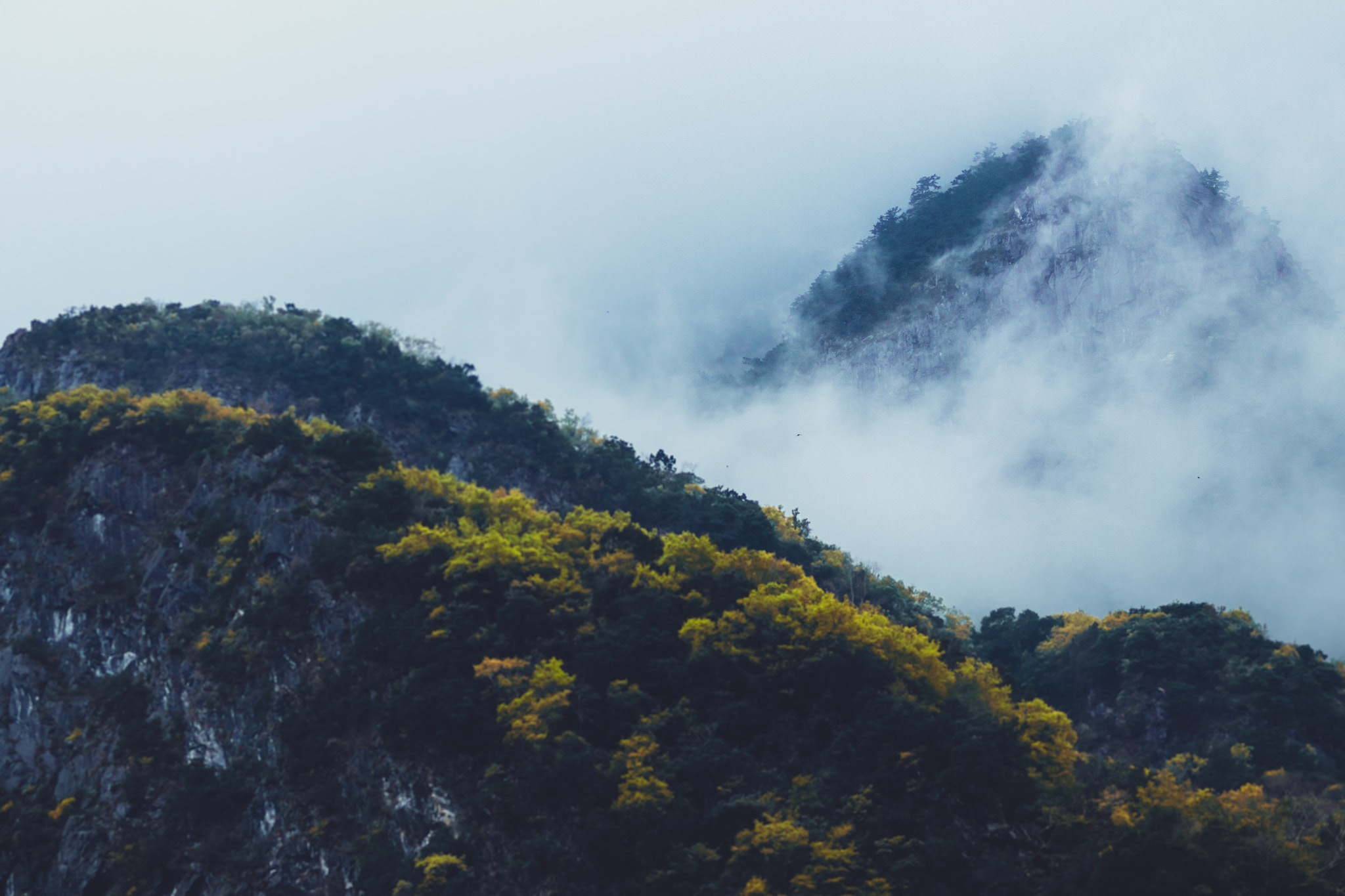 Olympus OM-D E-M5 + OLYMPUS 50mm Lens sample photo. So fresh and so foggy photography