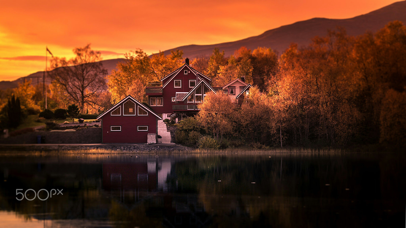 Samsung NX30 + Samsung NX 50-200mm F4-5.6 ED OIS sample photo. Autumnal colors. photography