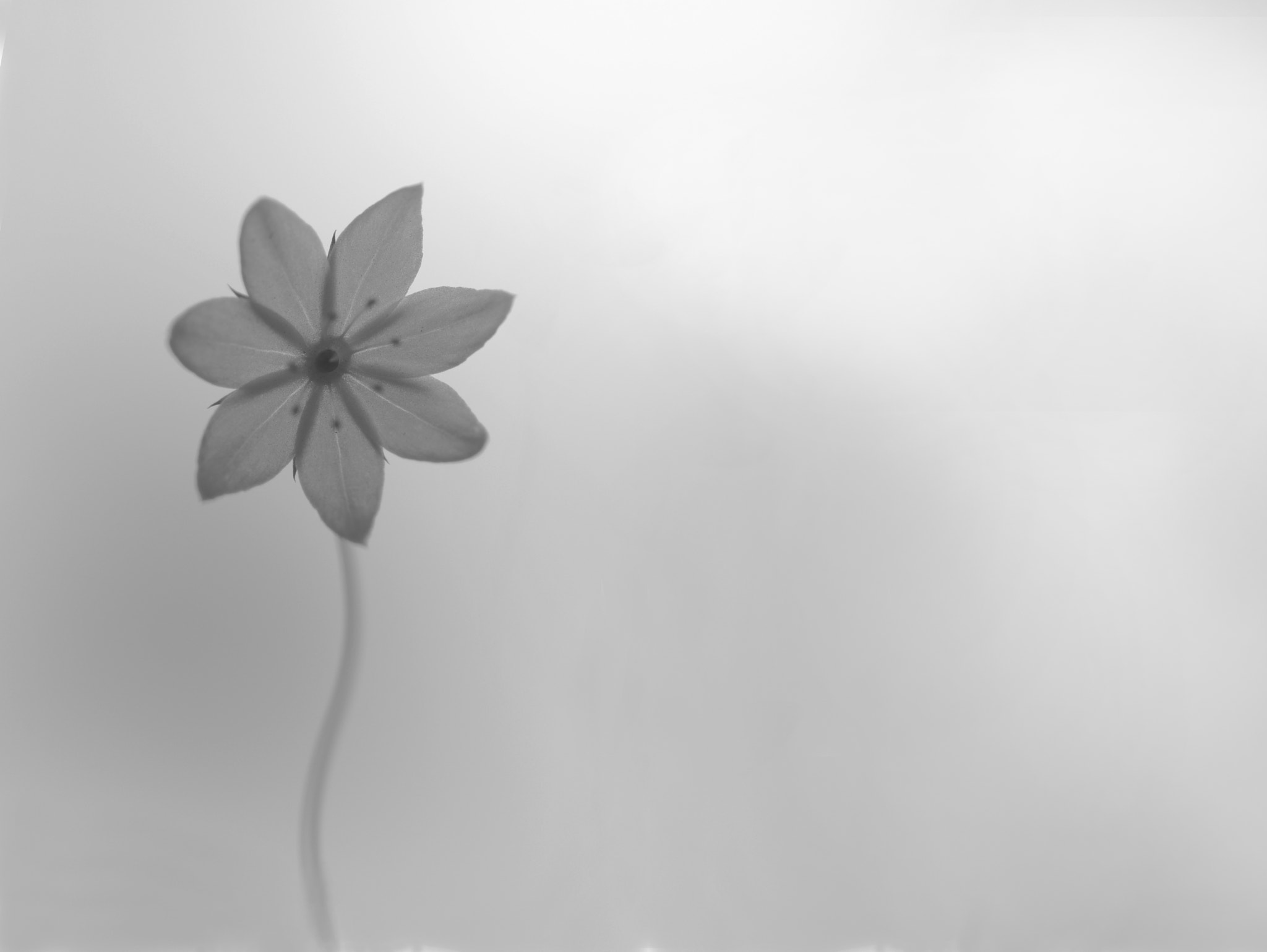 A Series Lens sample photo. Away from the sun photography