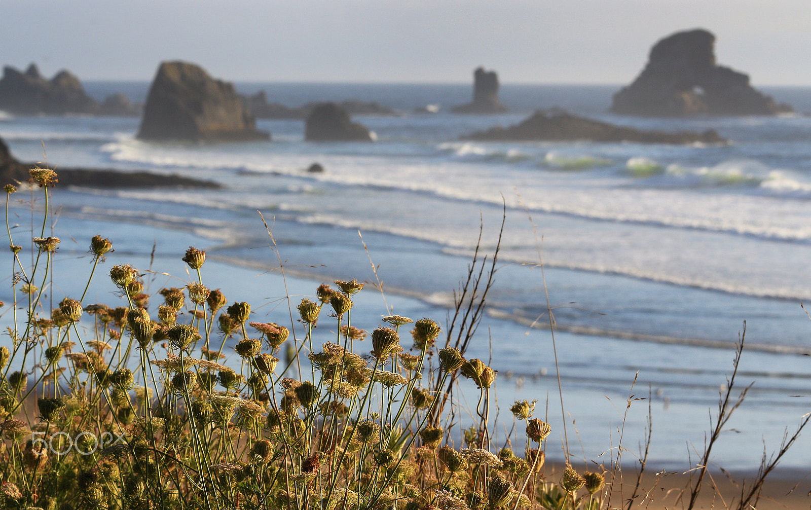 Canon EF 70-200mm F4L IS USM sample photo. Indian beach, oregon photography