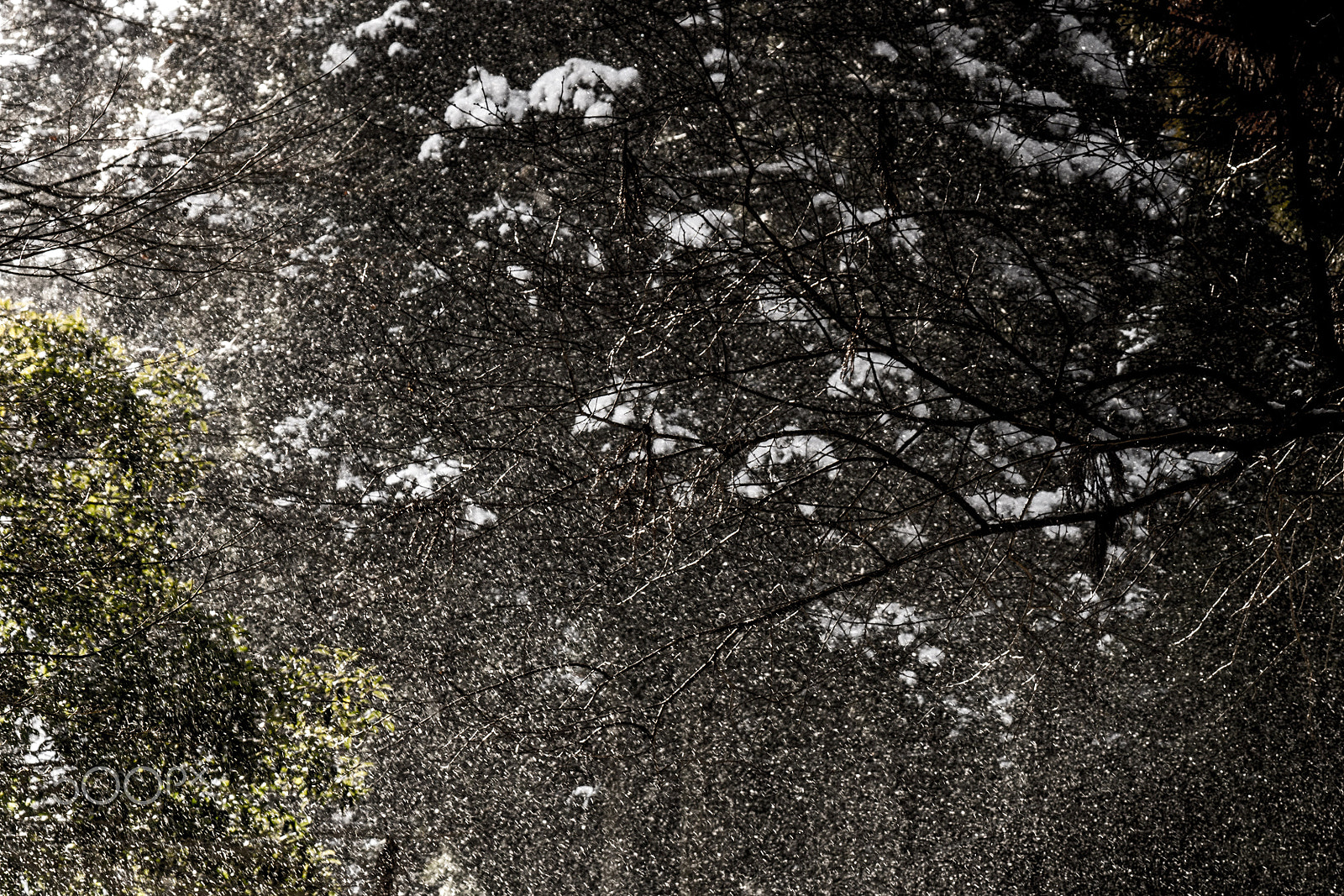 Tamron SP 70-300mm F4-5.6 Di USD sample photo. Snow noise photography