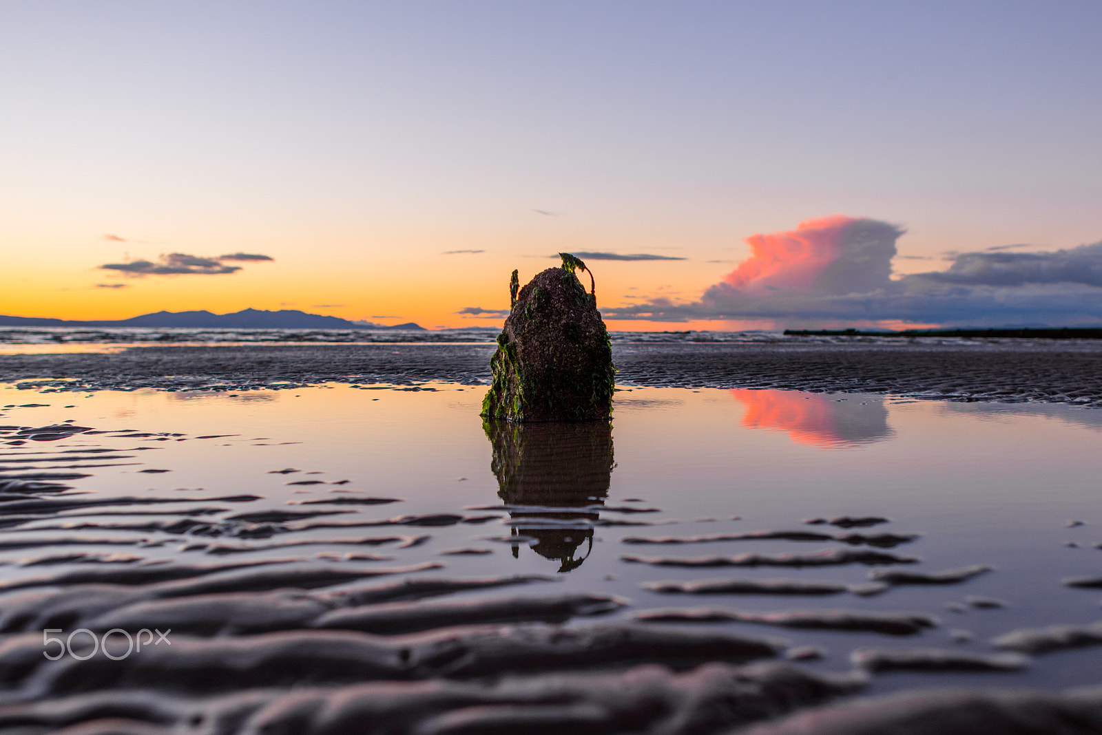 Nikon D810 + Nikon AF-S Nikkor 24mm F1.4G ED sample photo. Stump on ayr beach photography