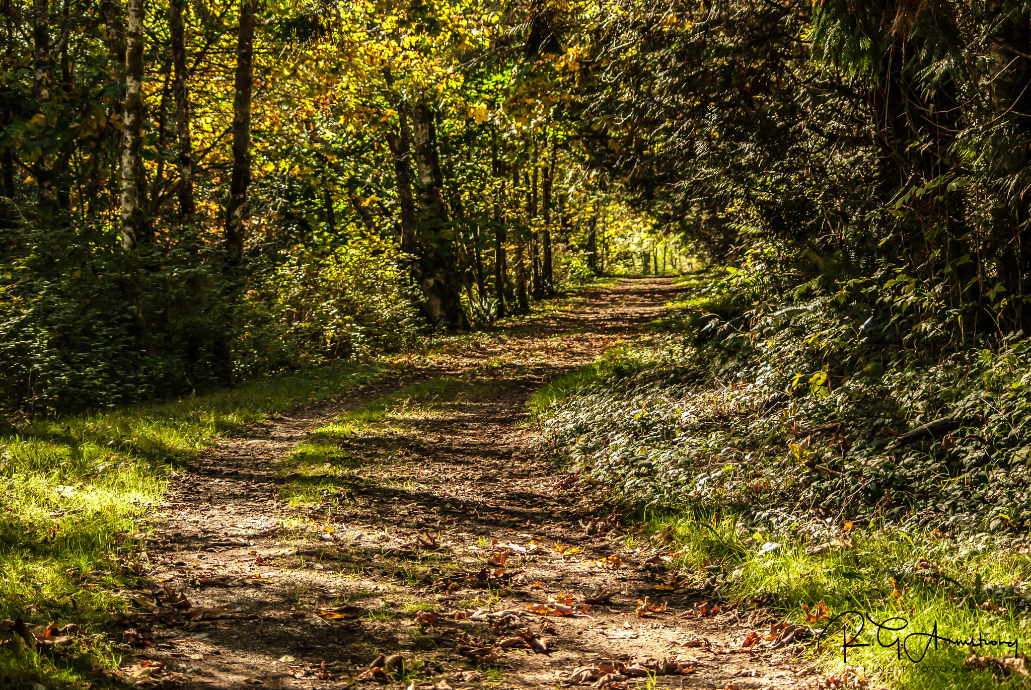 smc PENTAX-DA L 55-300mm F4-5.8 ED sample photo. Little qualicum road photography
