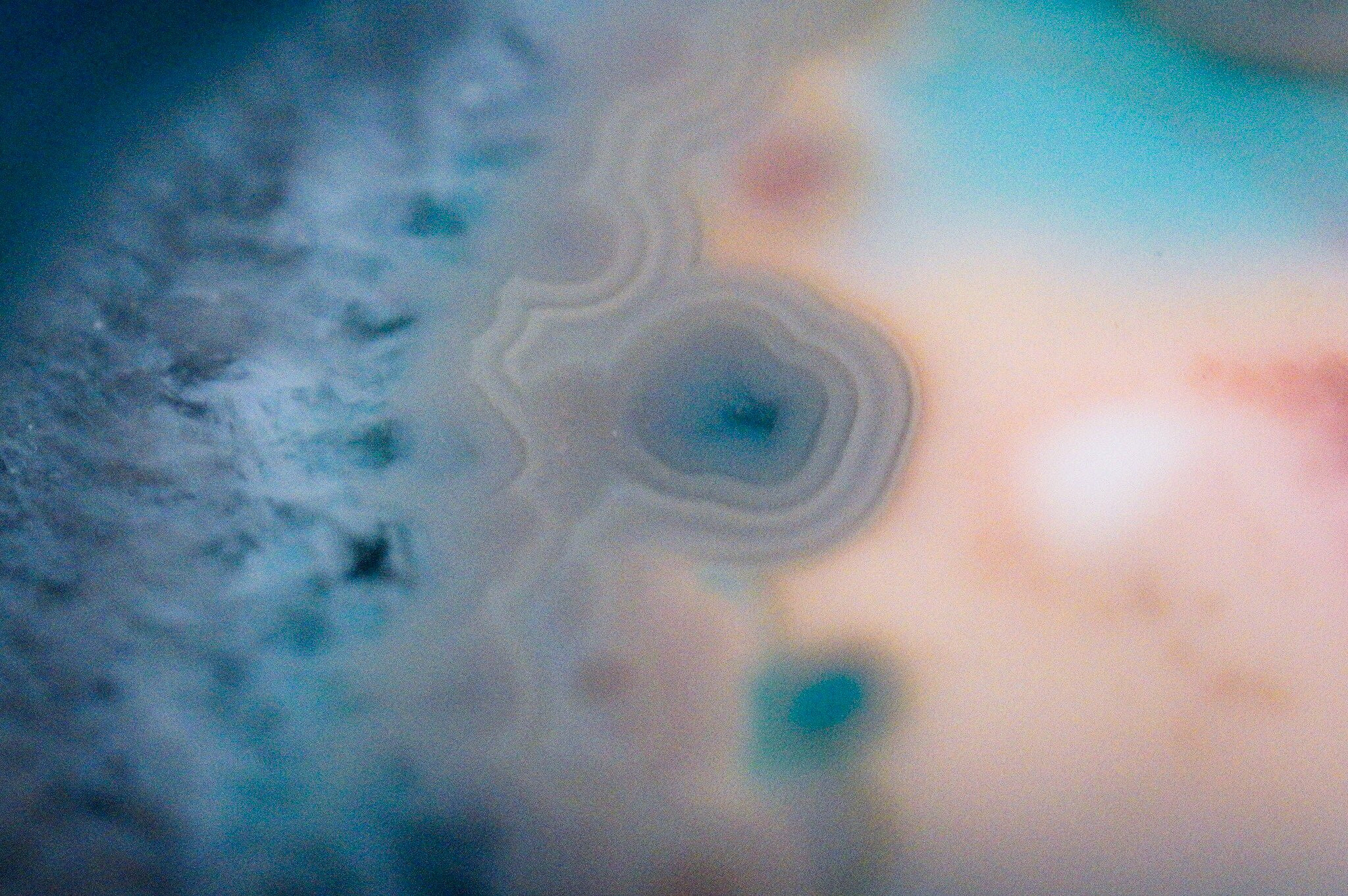 Sony FE 50mm F2.8 Macro sample photo. What do you see? photography