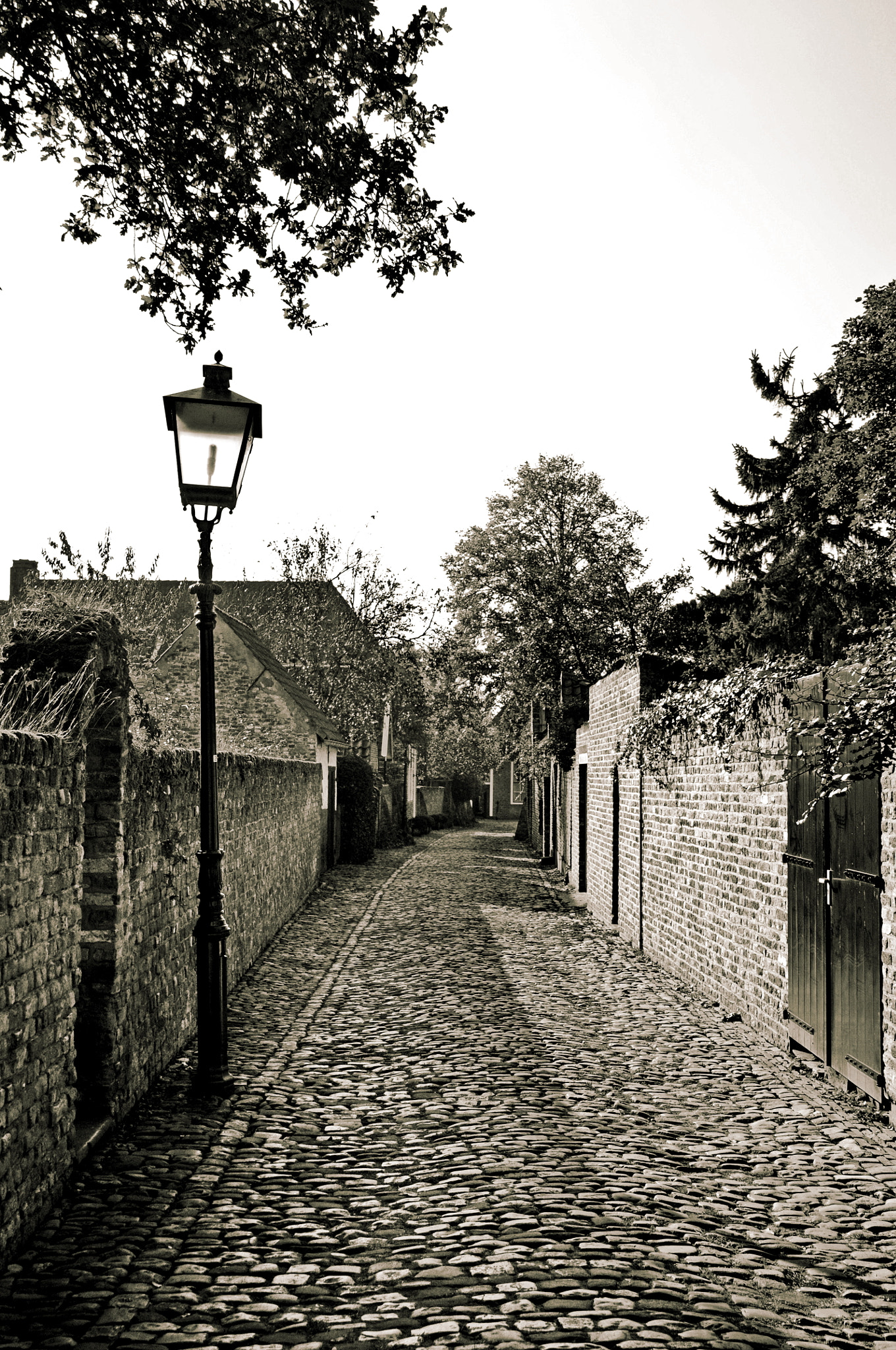 Nikon D300 sample photo. Veere,zeelnd photography