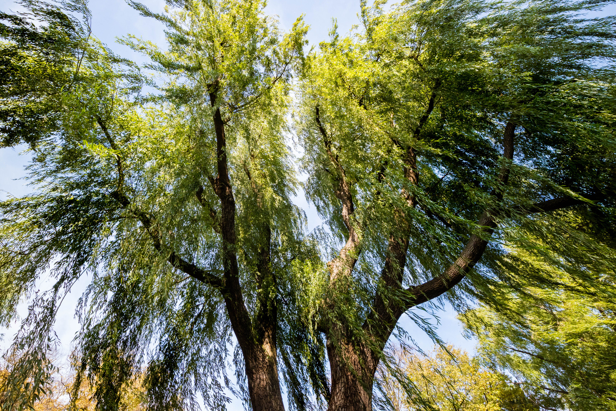 Canon EOS M3 + Canon EF-M 11-22mm F4-5.6 IS STM sample photo. Windy photography