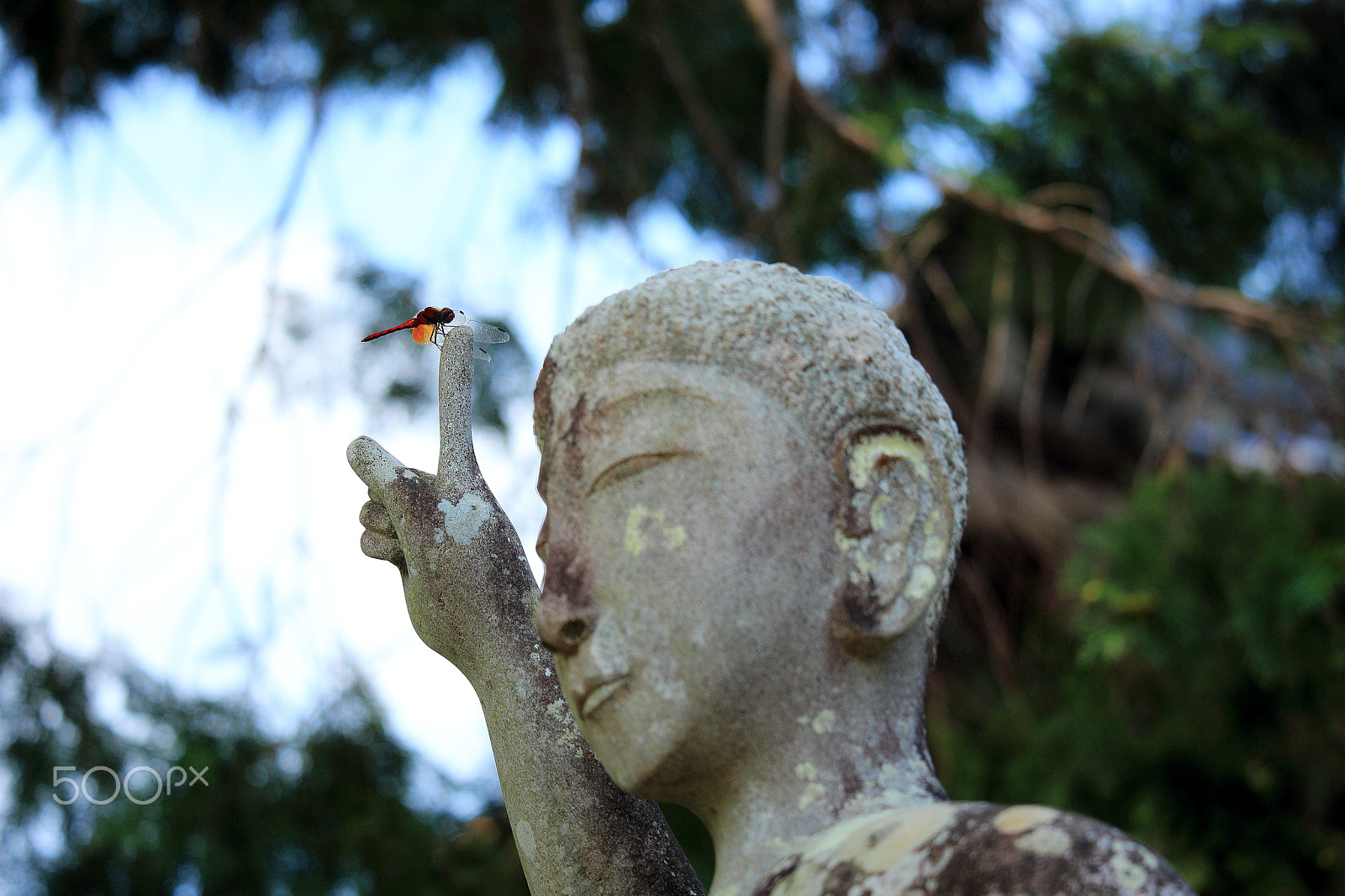 Canon EOS 700D (EOS Rebel T5i / EOS Kiss X7i) + Canon EF-S 55-250mm F4-5.6 IS STM sample photo. Dragonfly landing on the finger of the statue photography