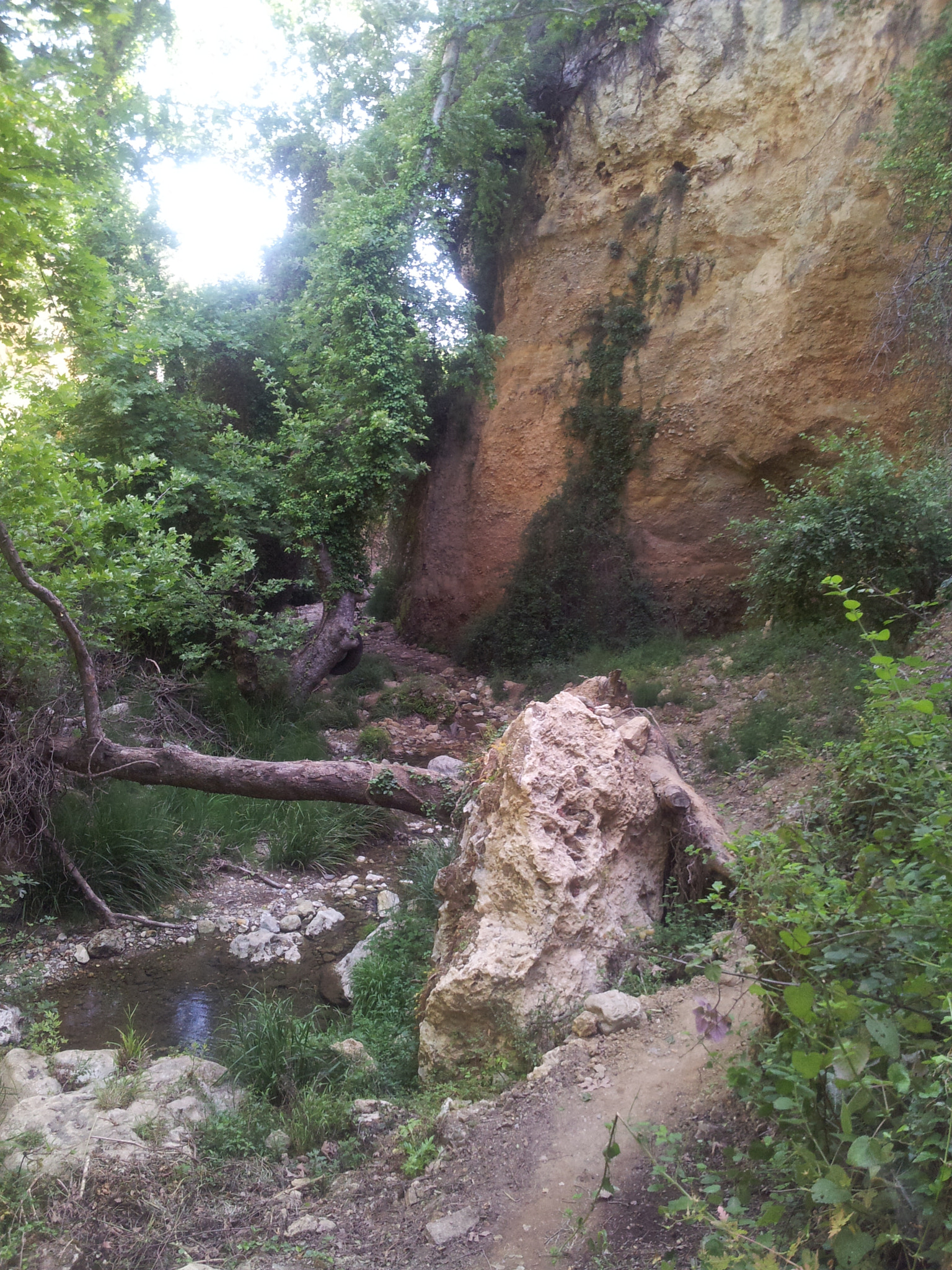 Samsung Galaxy S2 Plus sample photo. 20140514_092703.jpg photography