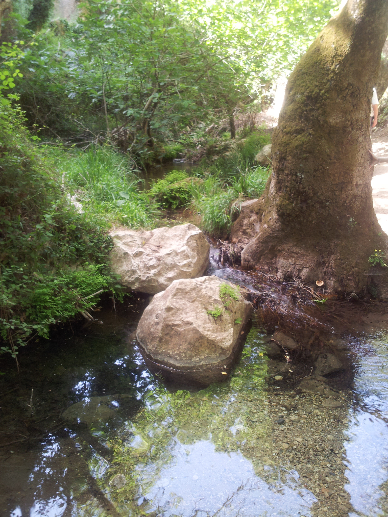 Samsung Galaxy S2 Plus sample photo. 20140514_093117.jpg photography