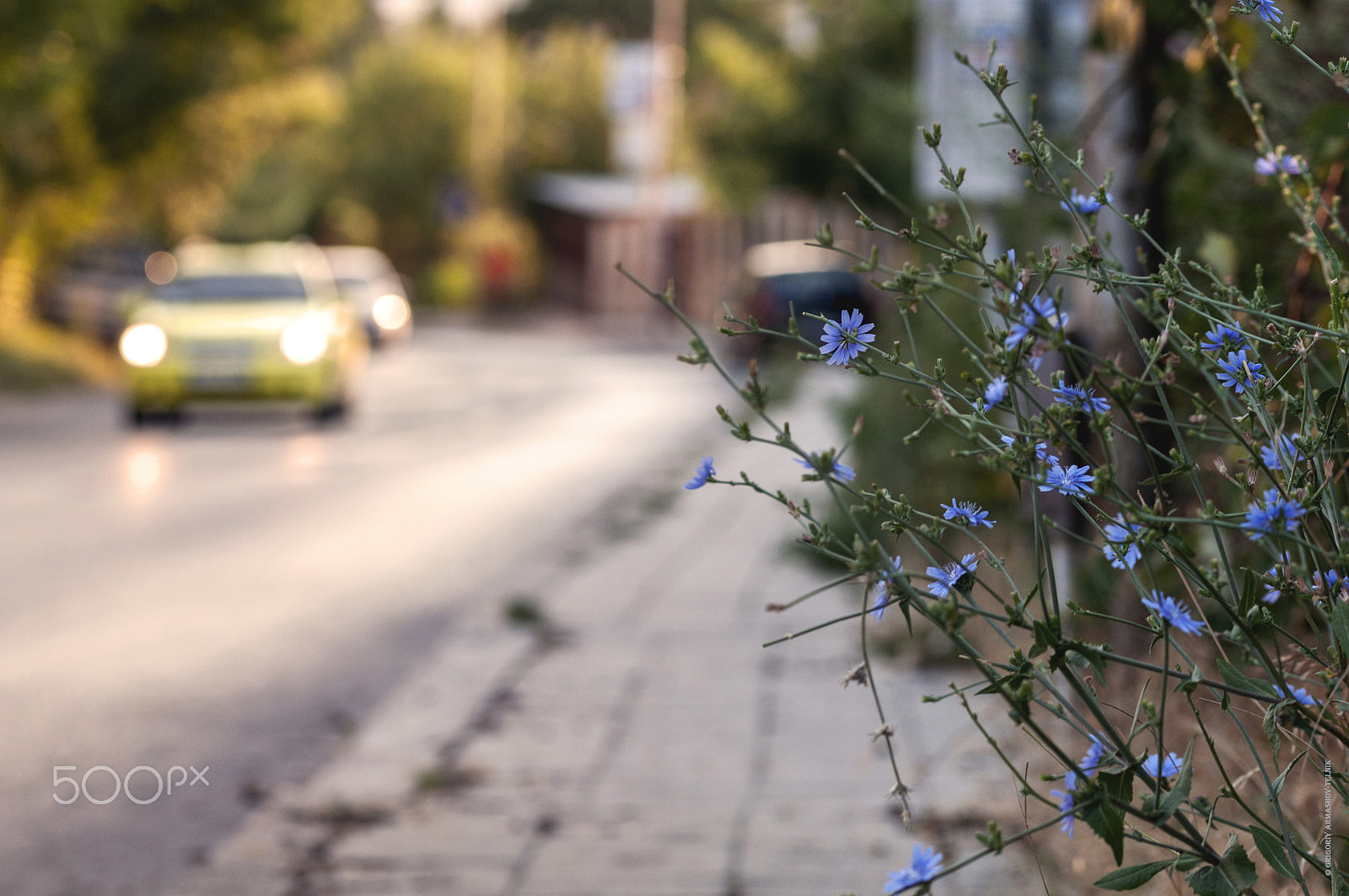 Sigma 105mm F2.8 EX DG OS HSM sample photo. У дороги photography