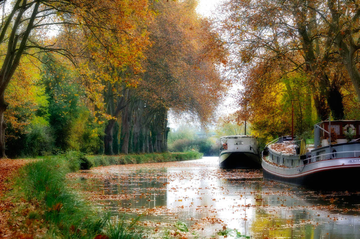 AF-S Zoom-Nikkor 80-200mm f/2.8D IF-ED sample photo. Canal du midi photography