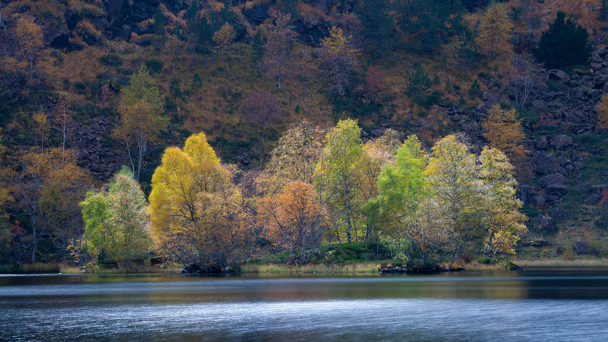 Nikon D3X sample photo. Automne photography