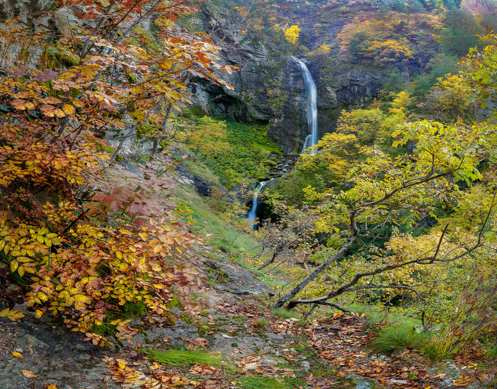 Sony a7 + Canon EF 50mm F1.8 II sample photo. Autumn photography