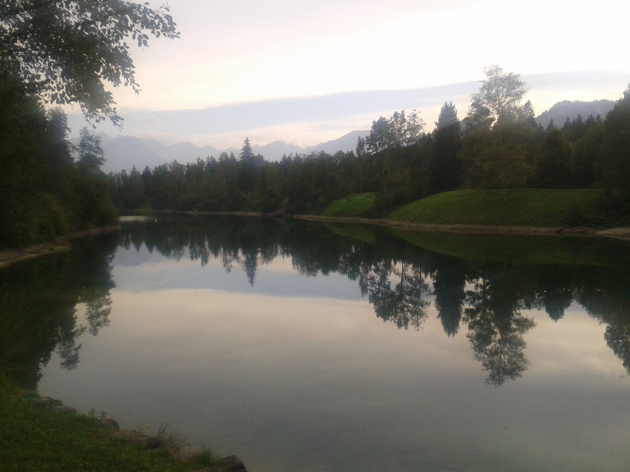 Samsung Galaxy Ace sample photo. 2016-09-15 16.55.21.jpg photography
