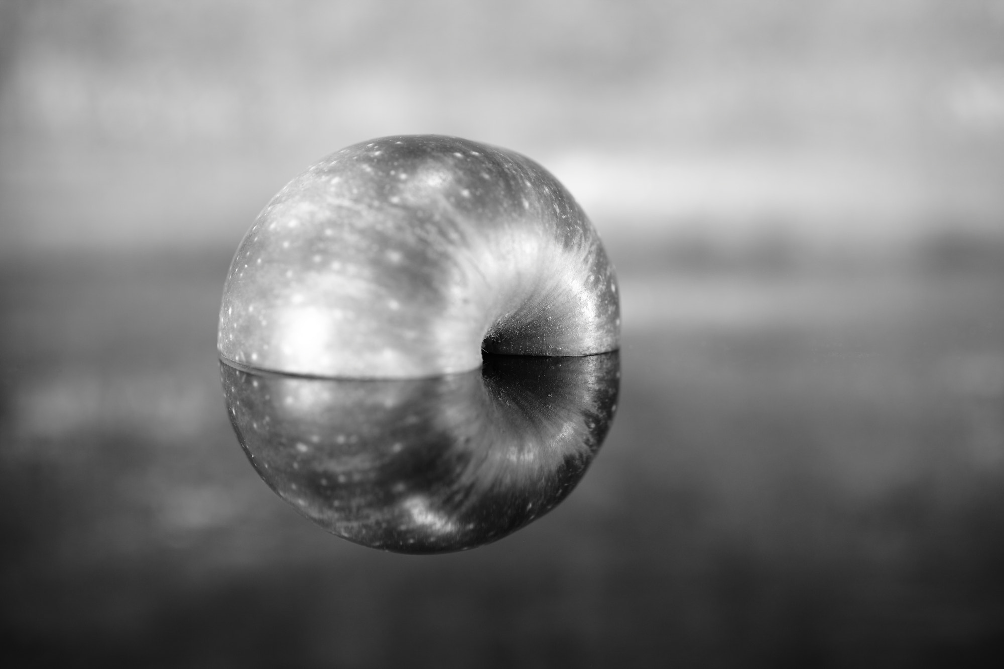 Canon EF 50mm F2.5 Macro sample photo. Apple reconstruction photography