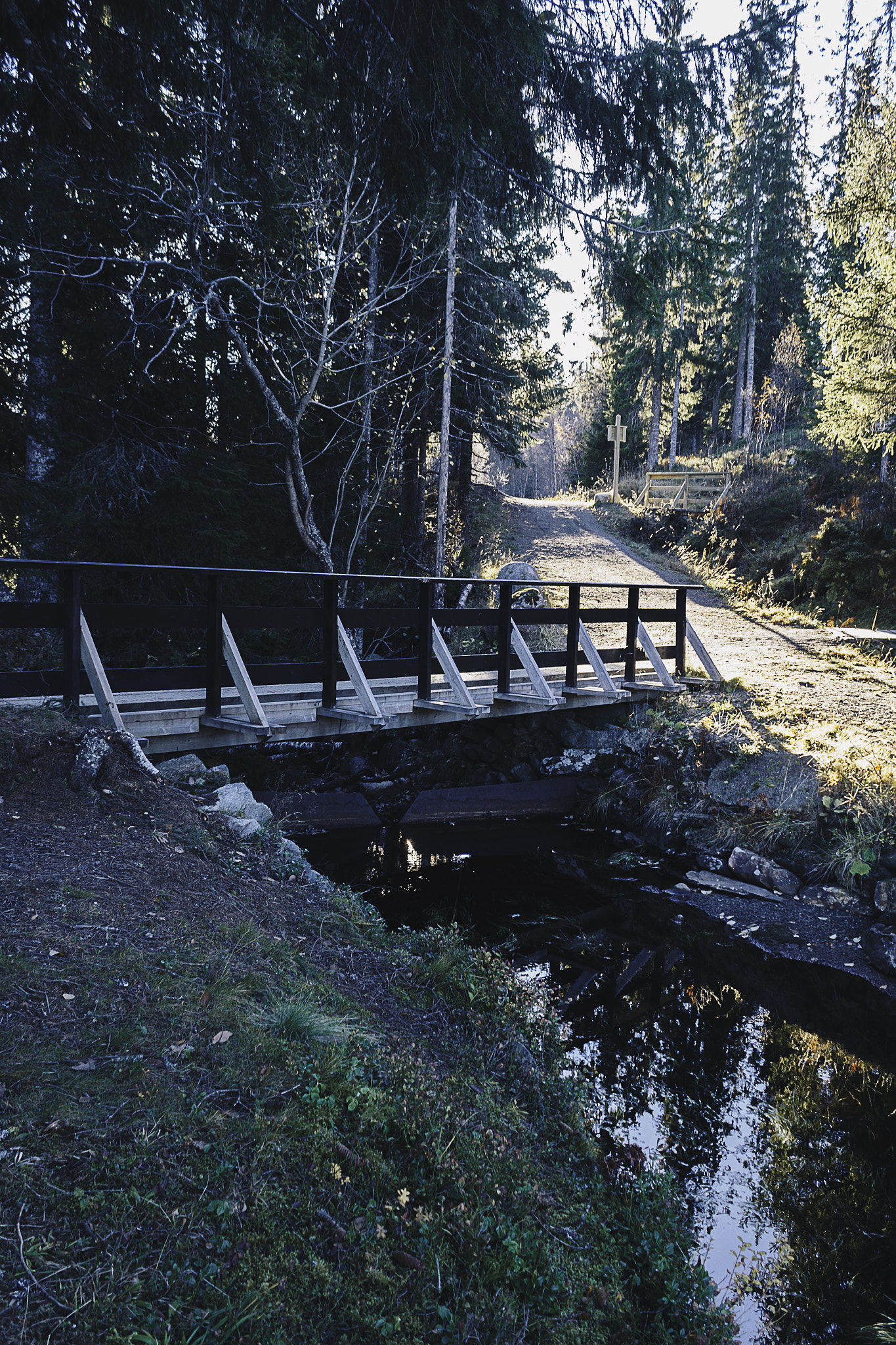 Canon EF-S 18-55mm F3.5-5.6 IS sample photo. Forest bridge photography