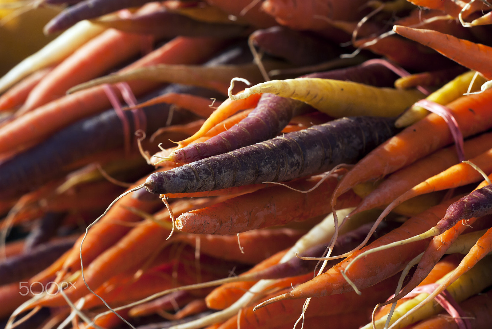 Nikon D60 + Nikon AF Nikkor 50mm F1.8D sample photo. Colorful carrots photography