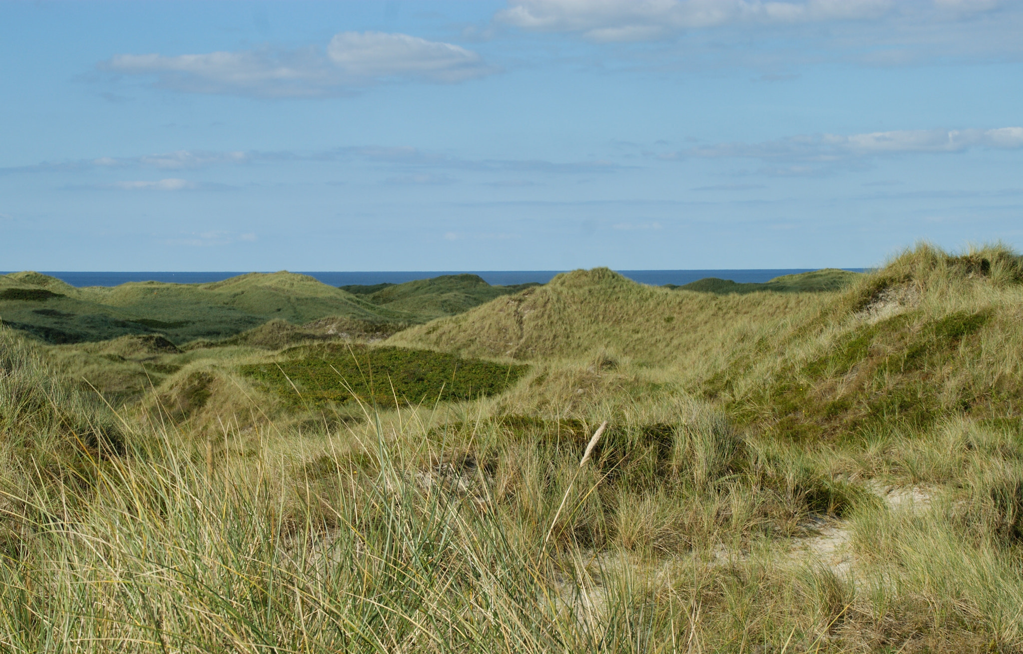 Sony Alpha DSLR-A290 sample photo. View to the horizon photography