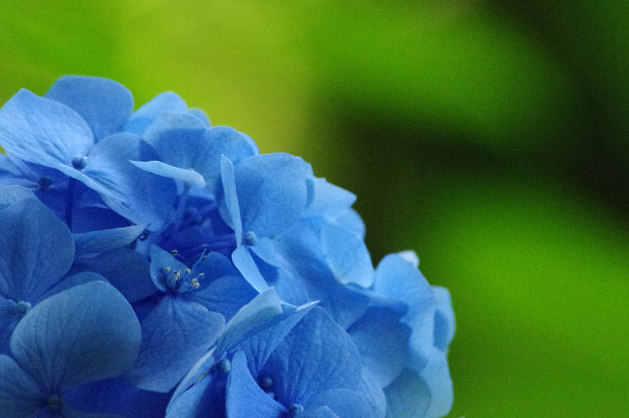 smc PENTAX-DA L 55-300mm F4-5.8 ED sample photo