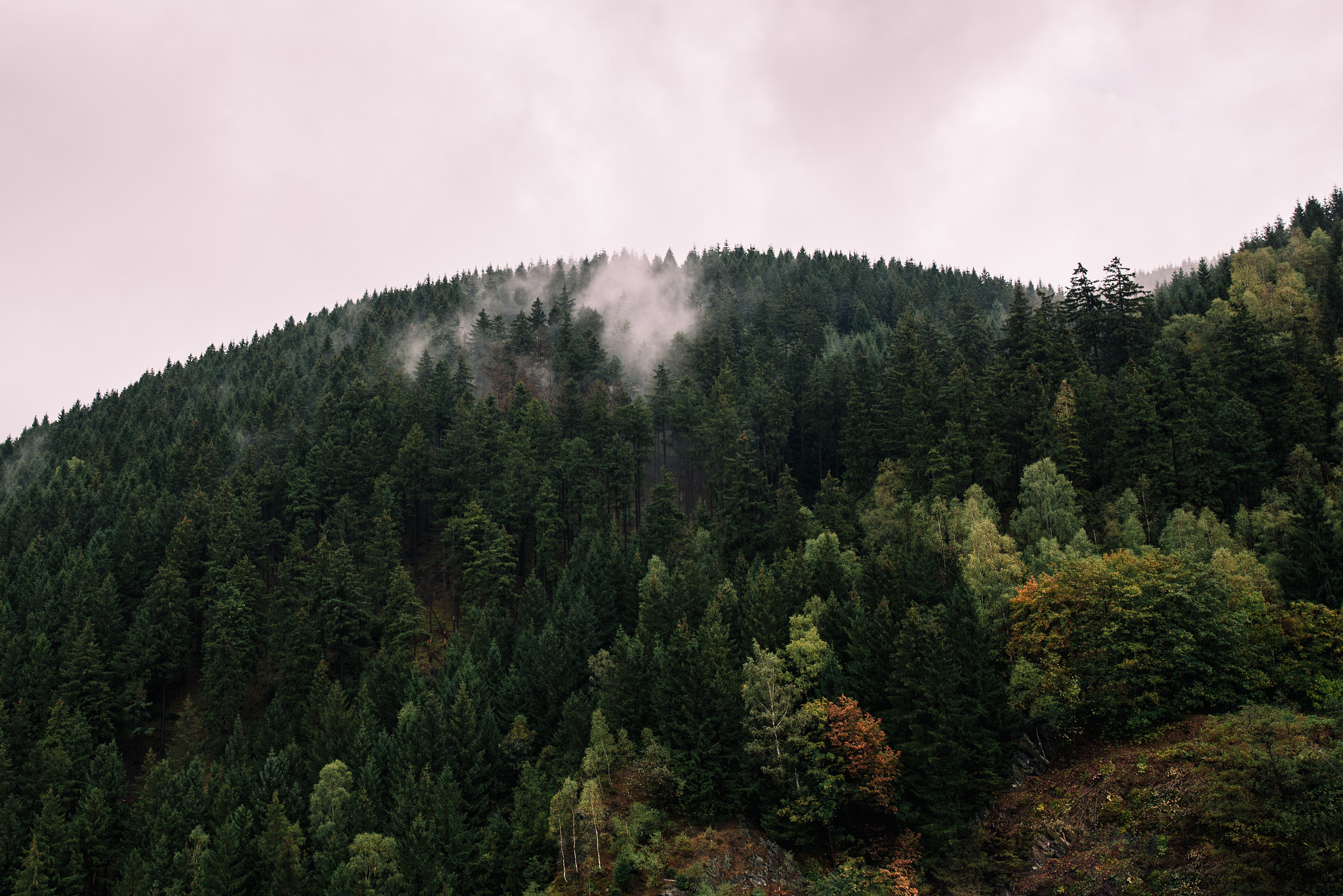 Nikon D610 + Nikon AF-S Nikkor 200-400mm F4G ED-IF VR sample photo. Fogged tree peaks photography