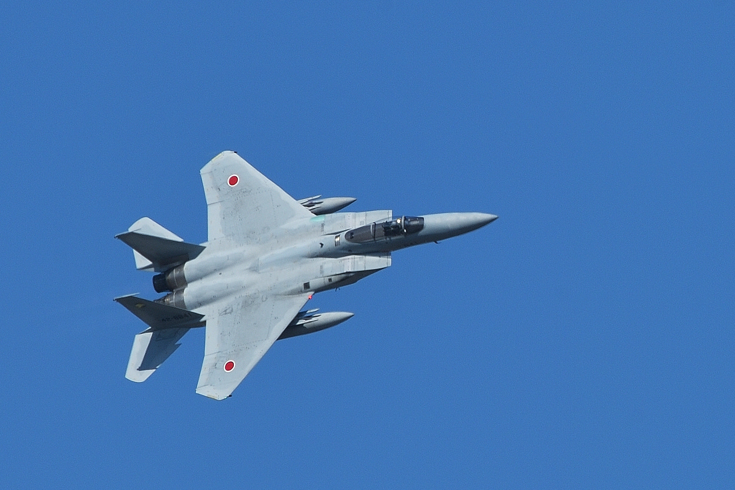 Nikon AF-S Nikkor 200-500mm F5.6E ED VR sample photo. F-15j photography