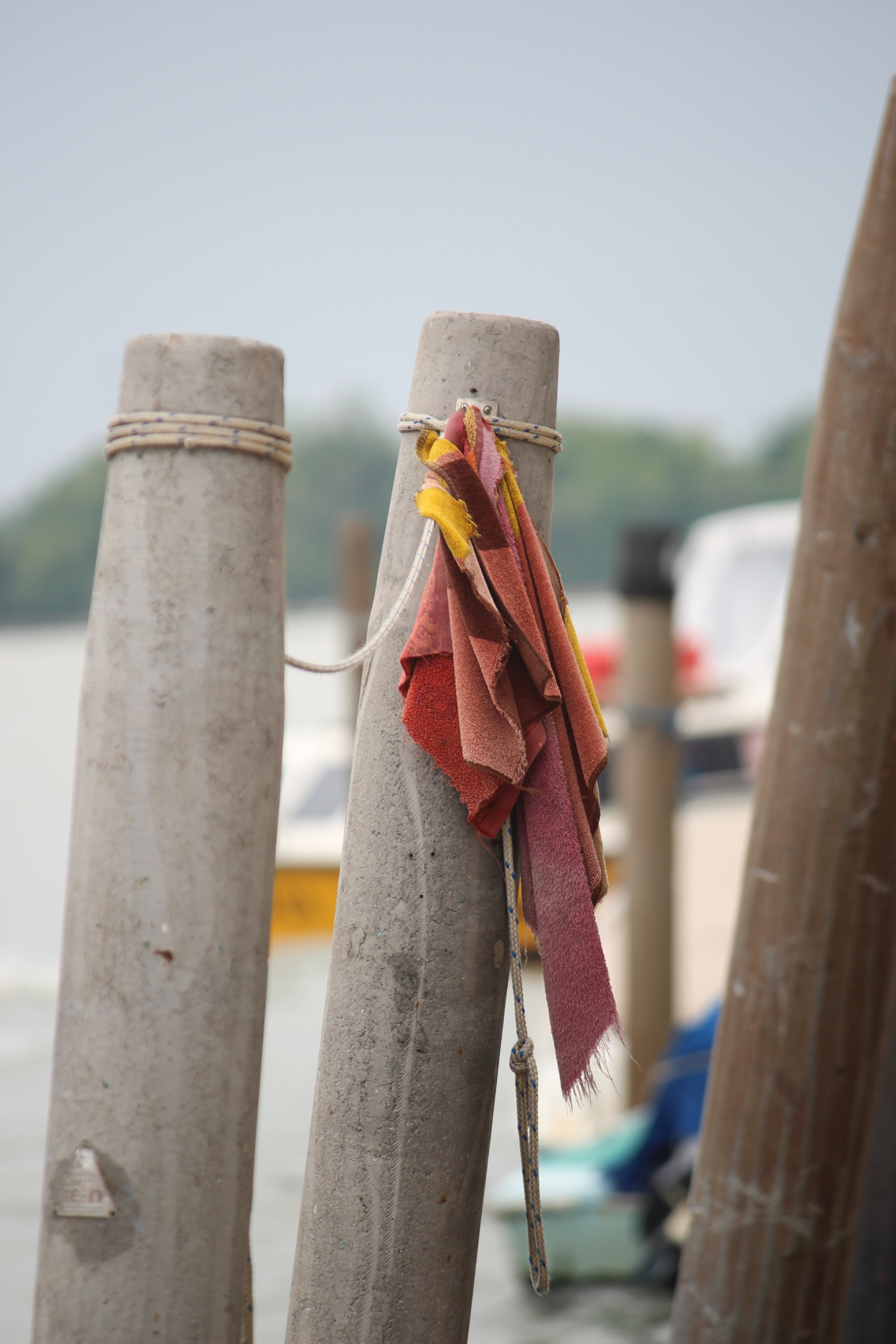 Canon EF-S 55-250mm F4-5.6 IS sample photo