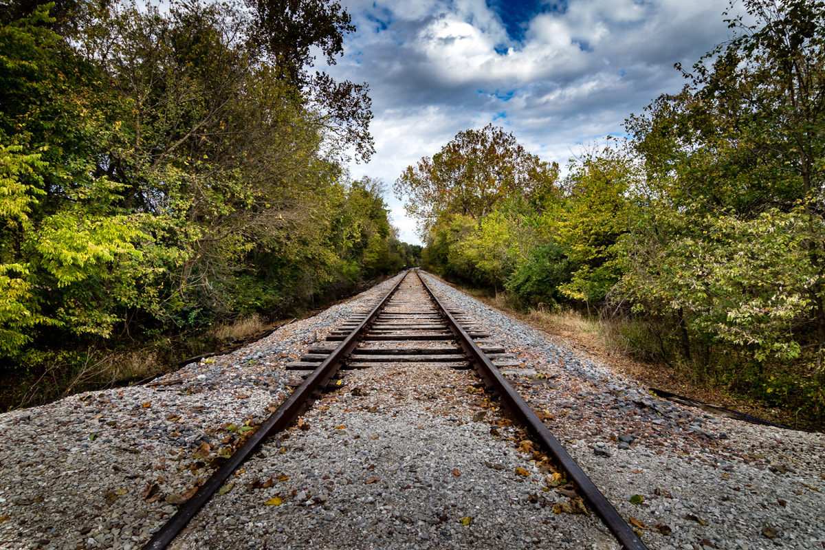 Tokina AT-X Pro 12-24mm F4 (IF) DX sample photo. Where will today take us? photography