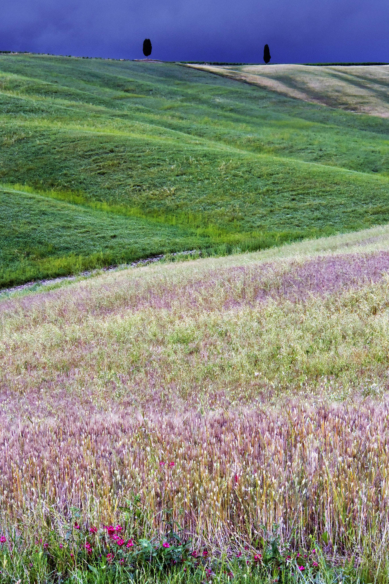 1 NIKKOR VR 10-100mm f/4-5.6 sample photo. Italian soul - colors in val d'orcia photography