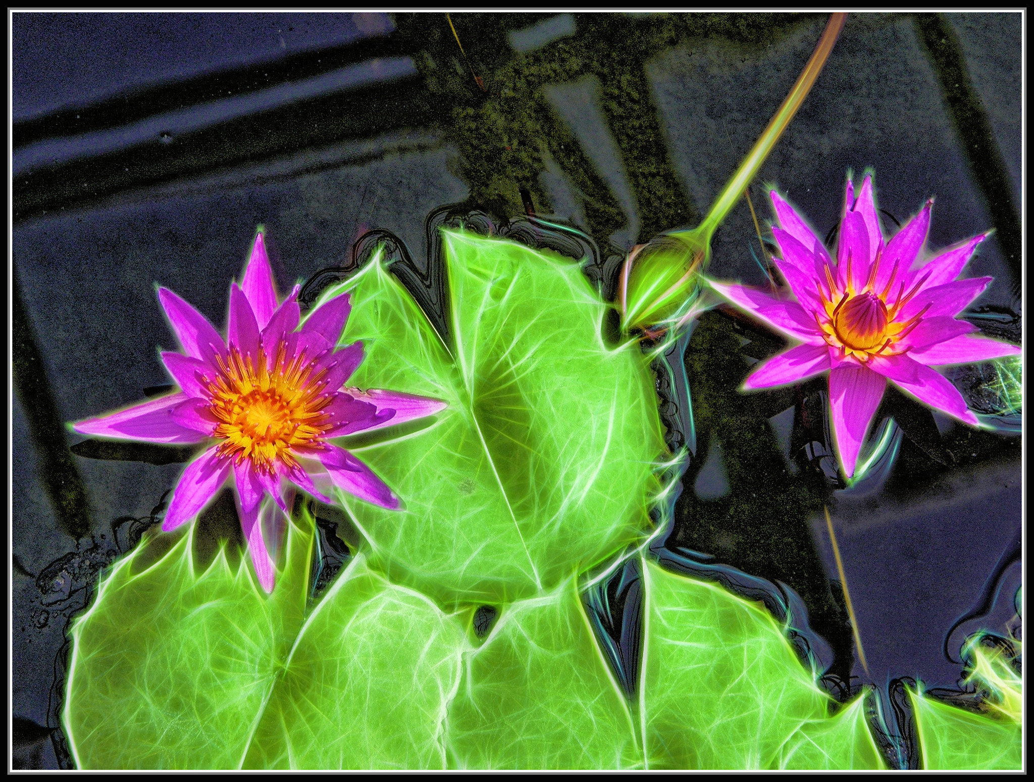 Olympus SP550UZ sample photo. Summer beckons photography