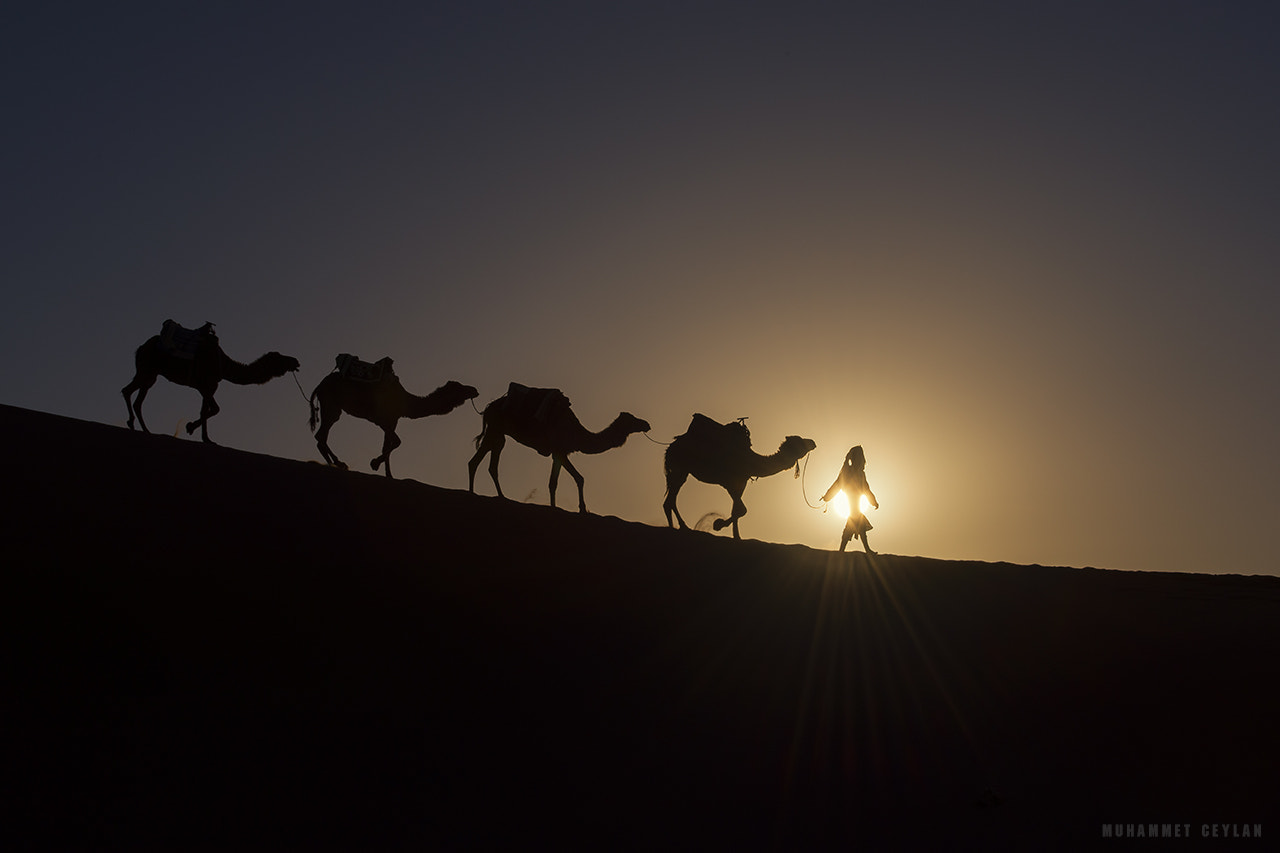 Nikon AF-S Nikkor 70-200mm F4G ED VR sample photo. Sahara desert photography