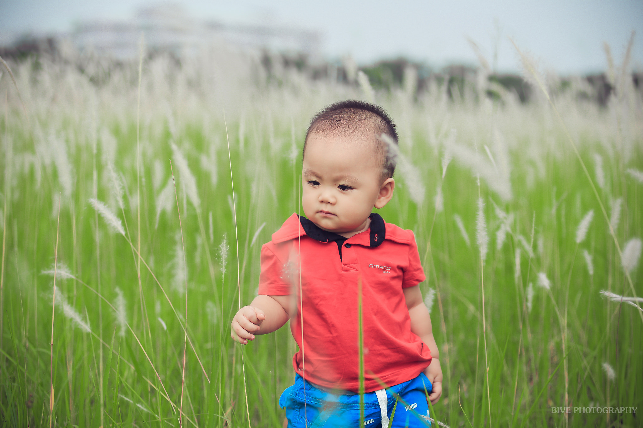Canon EF 80-200mm f/2.8L sample photo. Rêu photography