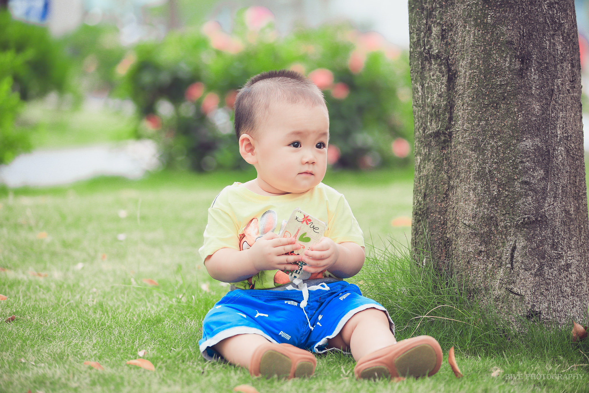 Canon EF 80-200mm f/2.8L sample photo. Rêu photography