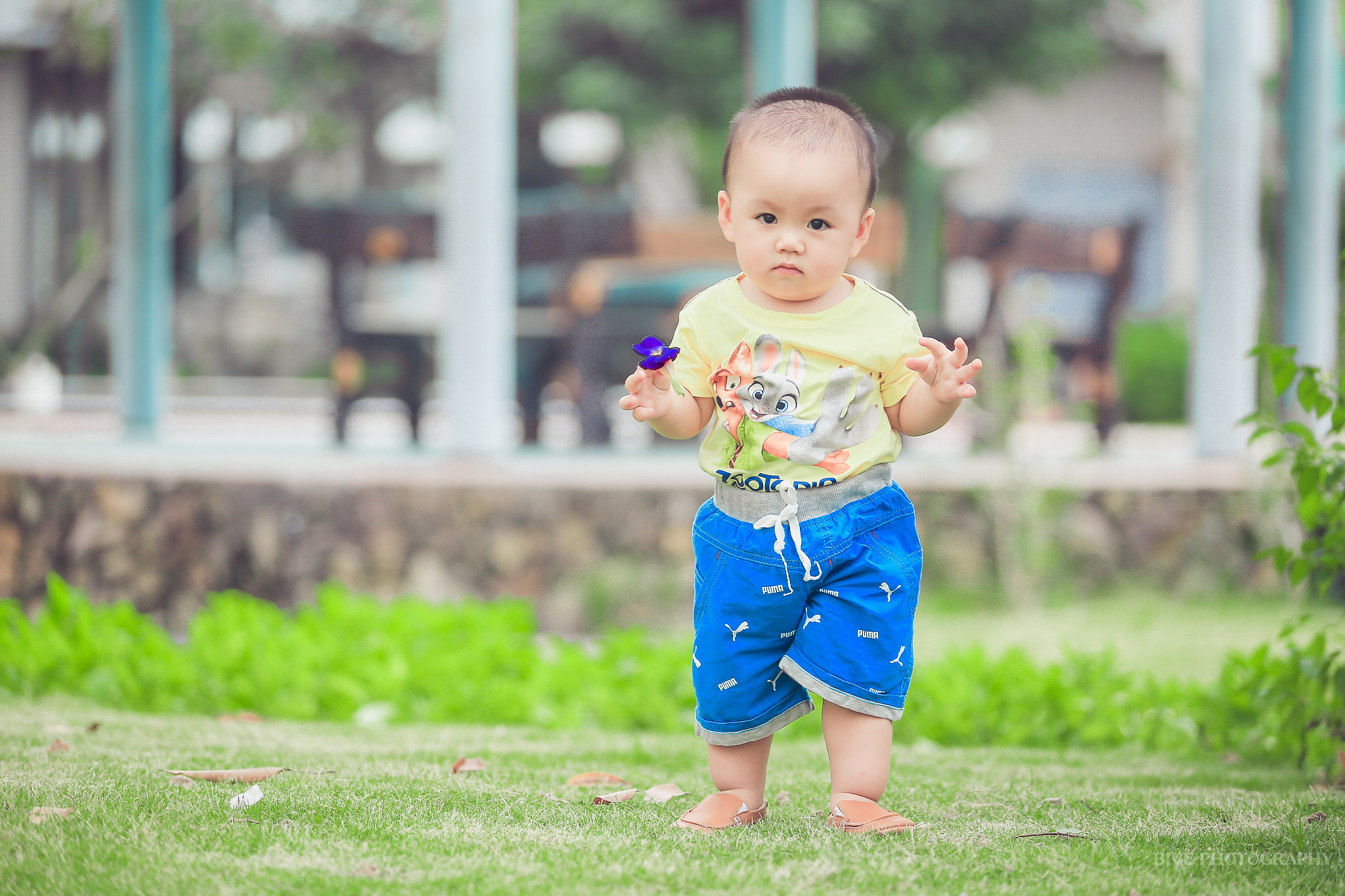Canon EF 80-200mm f/2.8L sample photo. Rêu photography