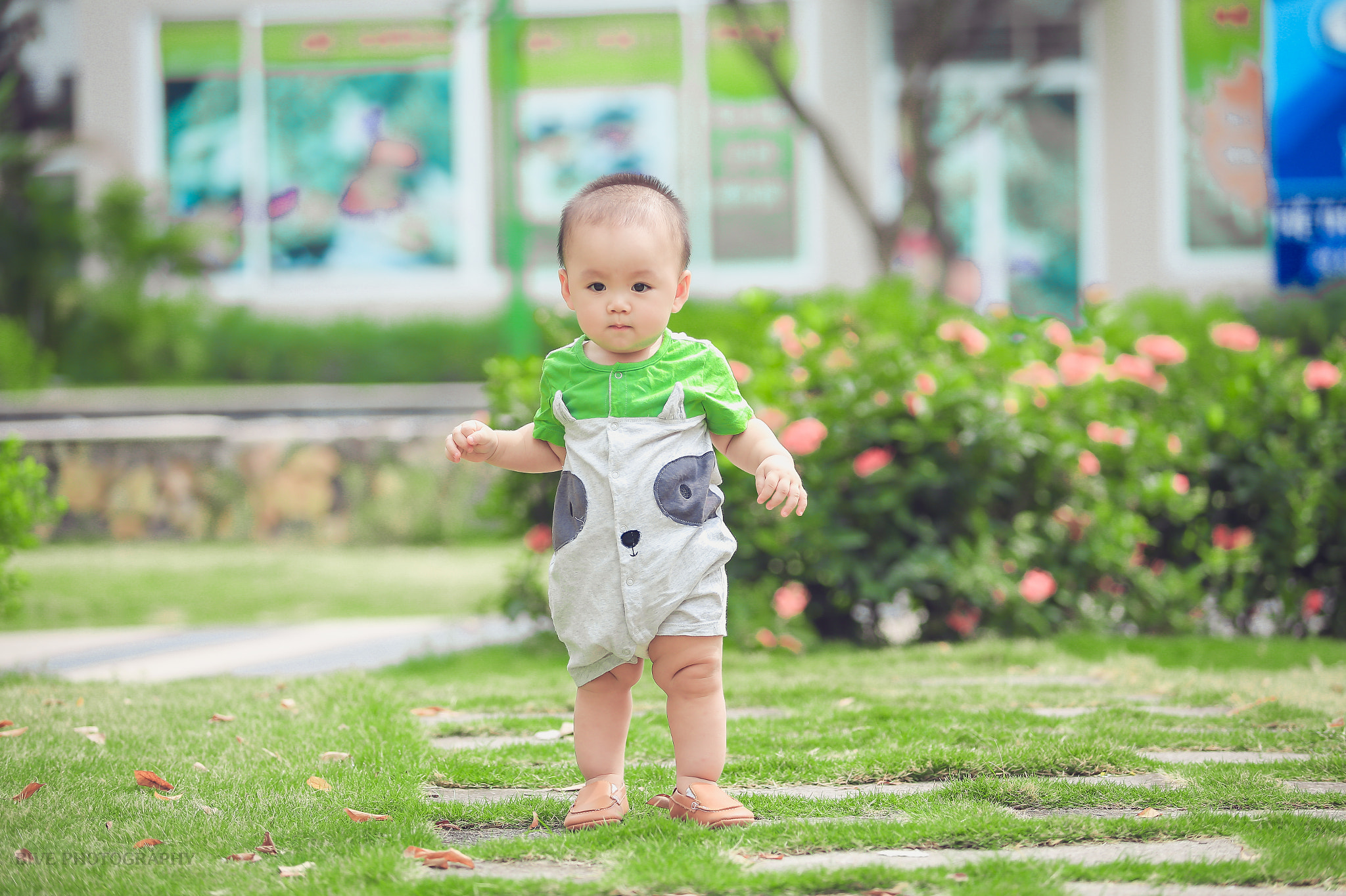 Canon EF 80-200mm f/2.8L sample photo. Rêu photography