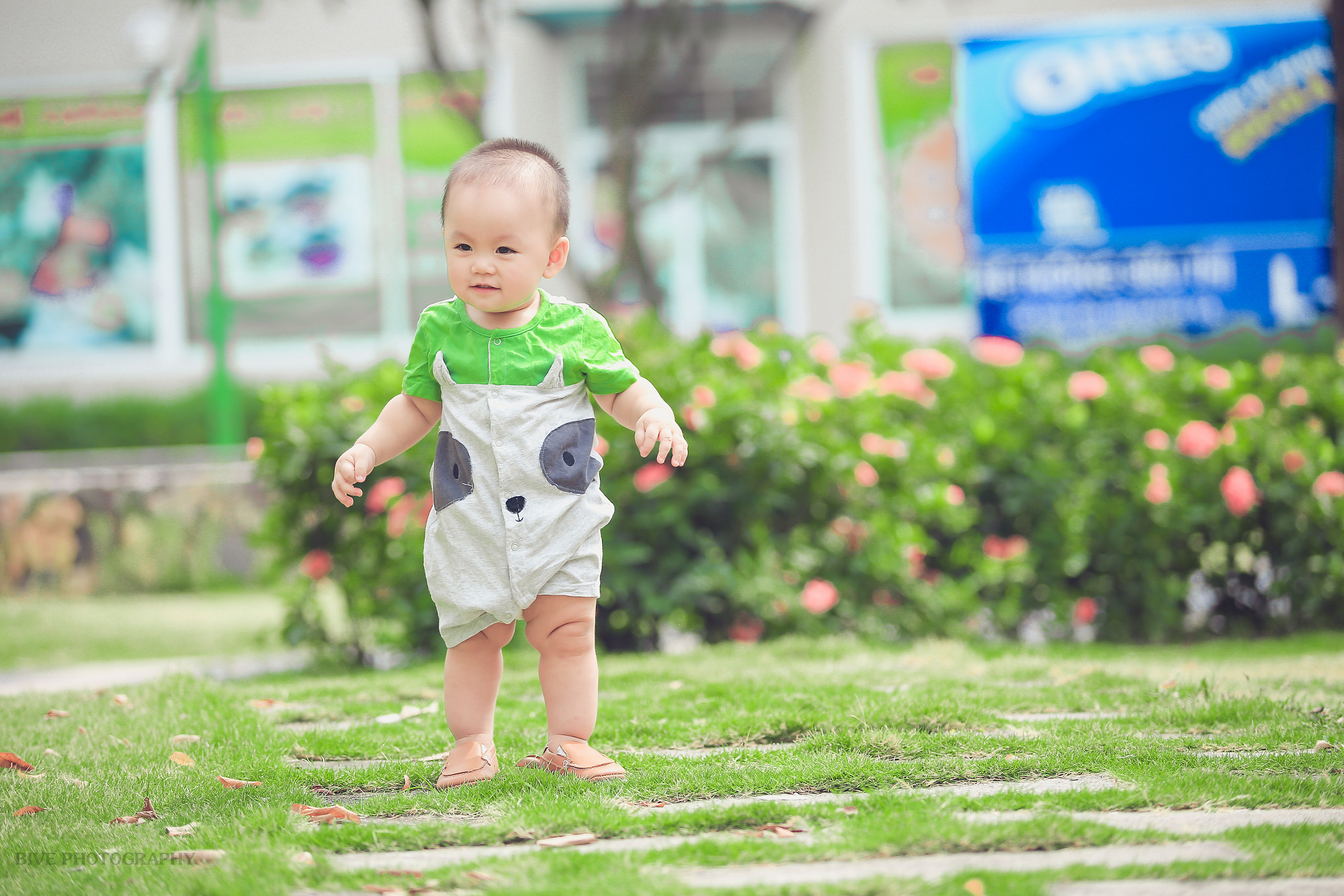 Canon EF 80-200mm f/2.8L sample photo. Rêu photography