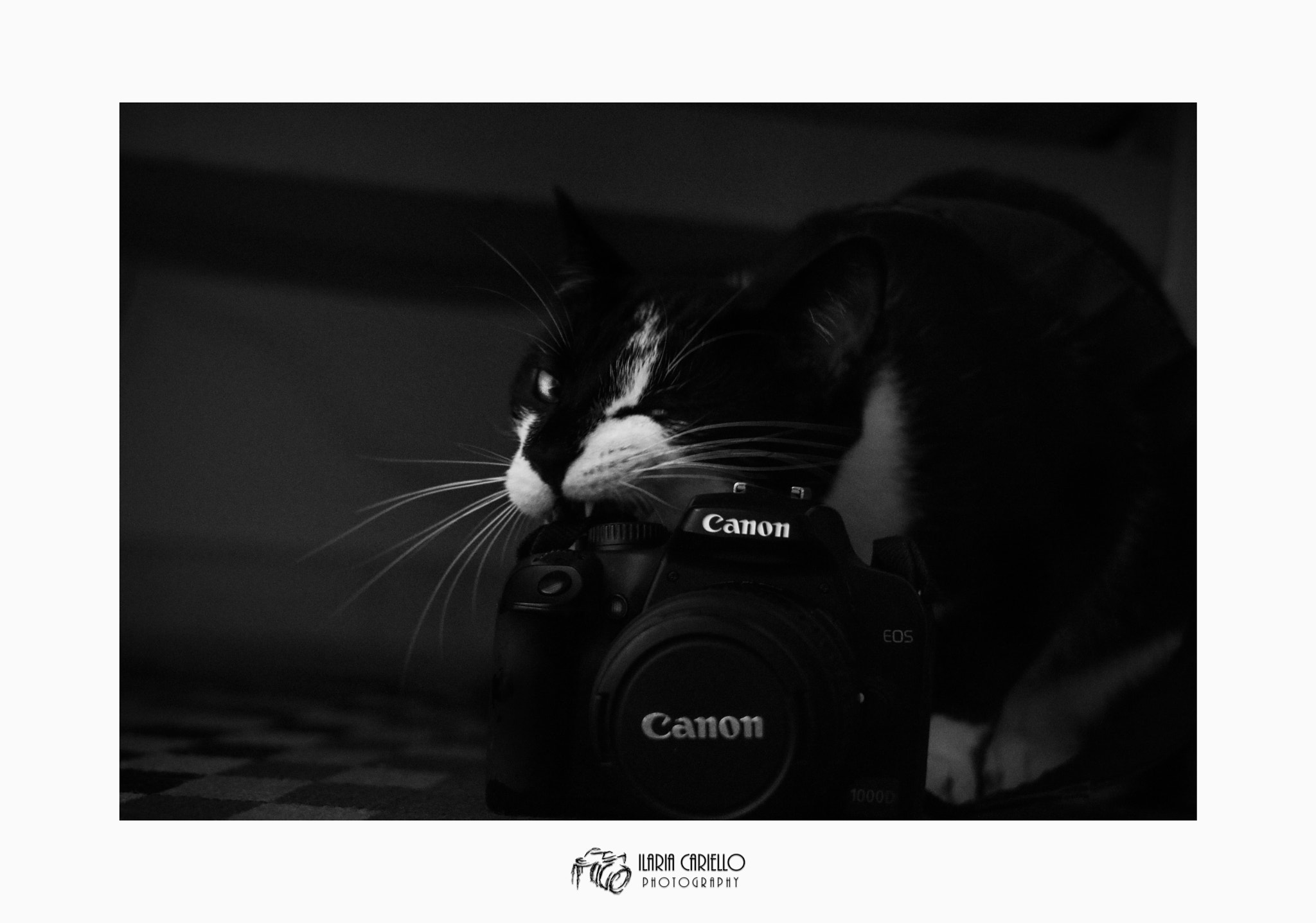 Canon EF 28-200mm F3.5-5.6 USM sample photo. - following in my footsteps. photography