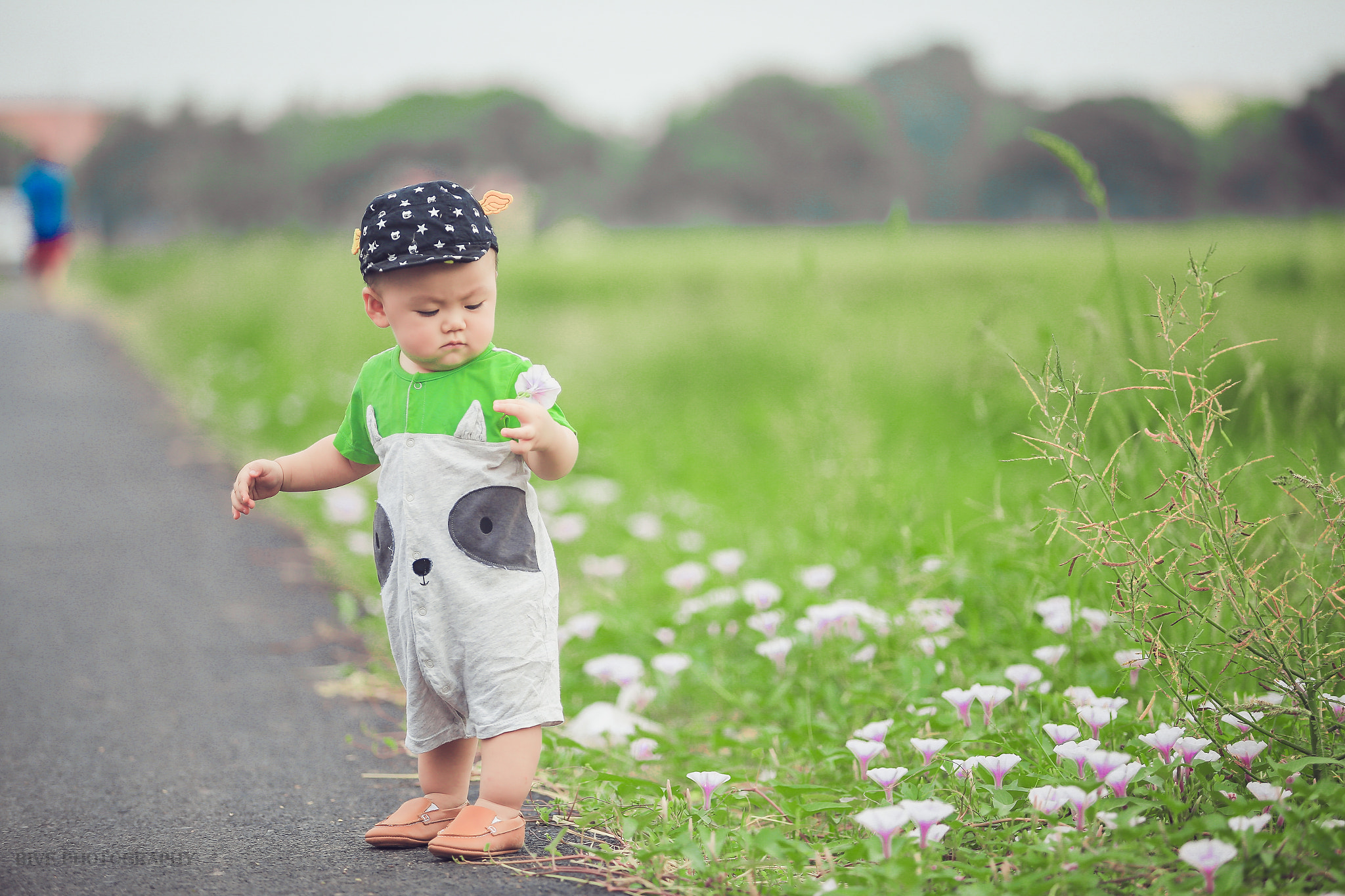 Canon EF 80-200mm f/2.8L sample photo. Rêu photography