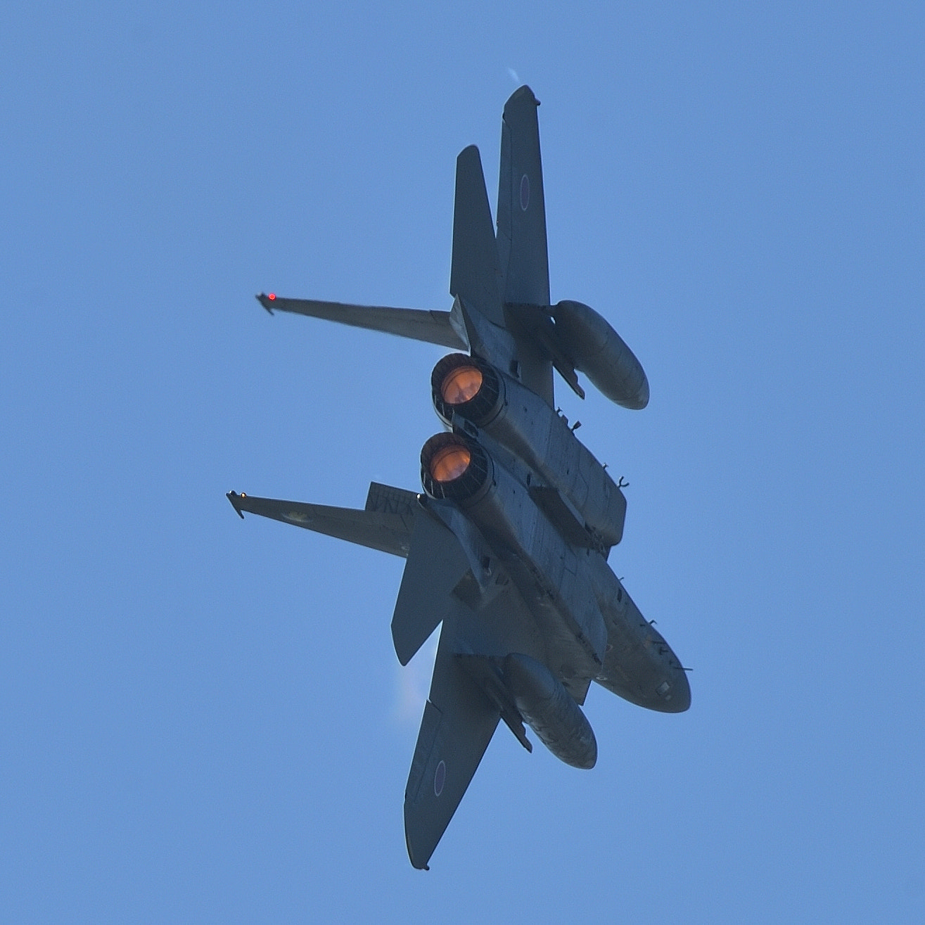 Nikon AF-S Nikkor 200-500mm F5.6E ED VR sample photo. F-15j photography