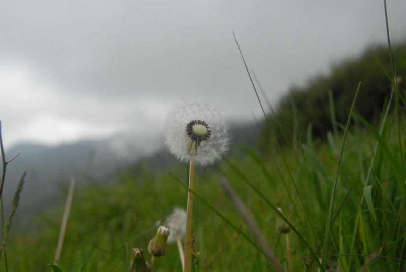 Nikon D200 sample photo