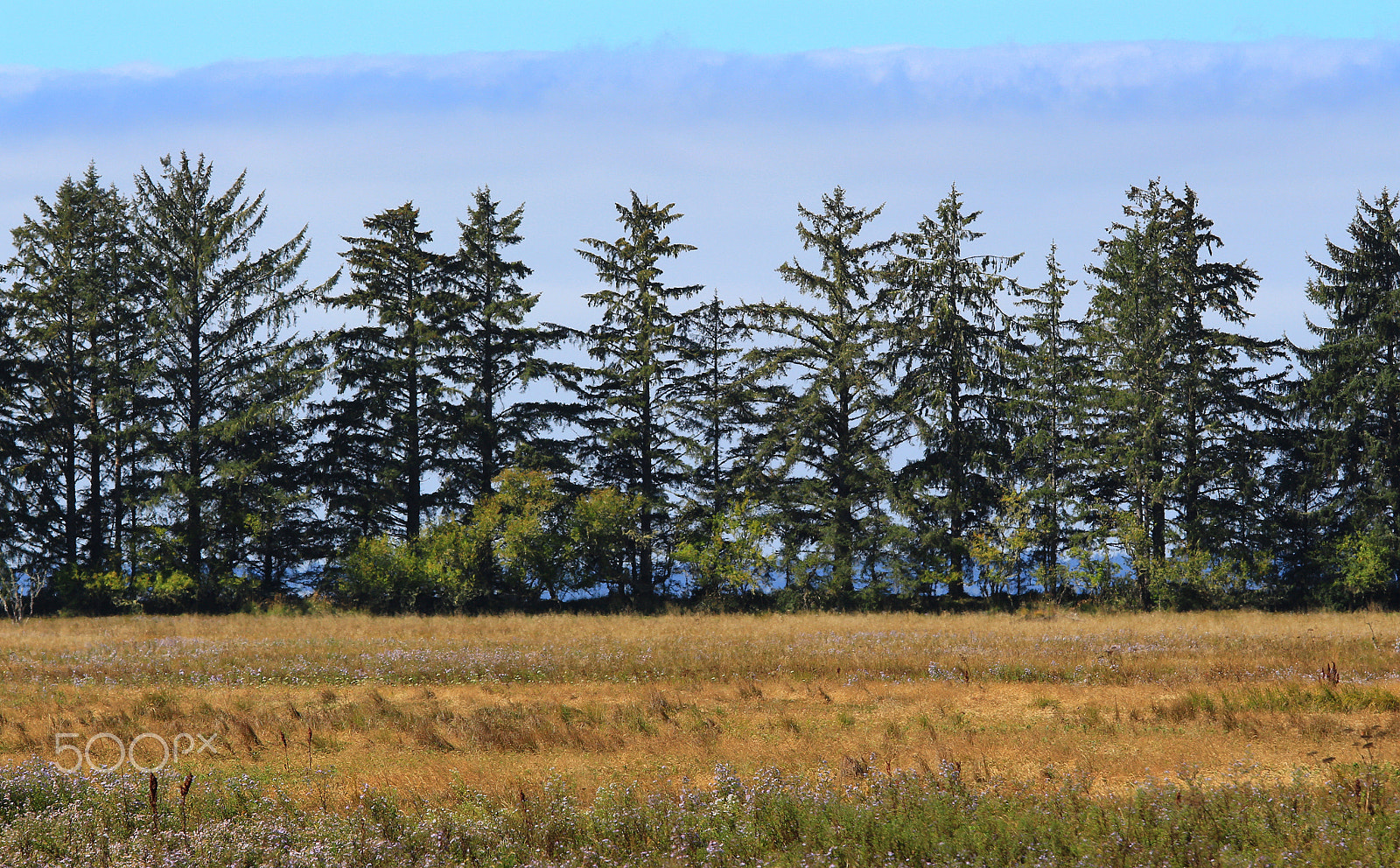 Canon EF 70-200mm F4L IS USM sample photo. Along the road, washington state photography