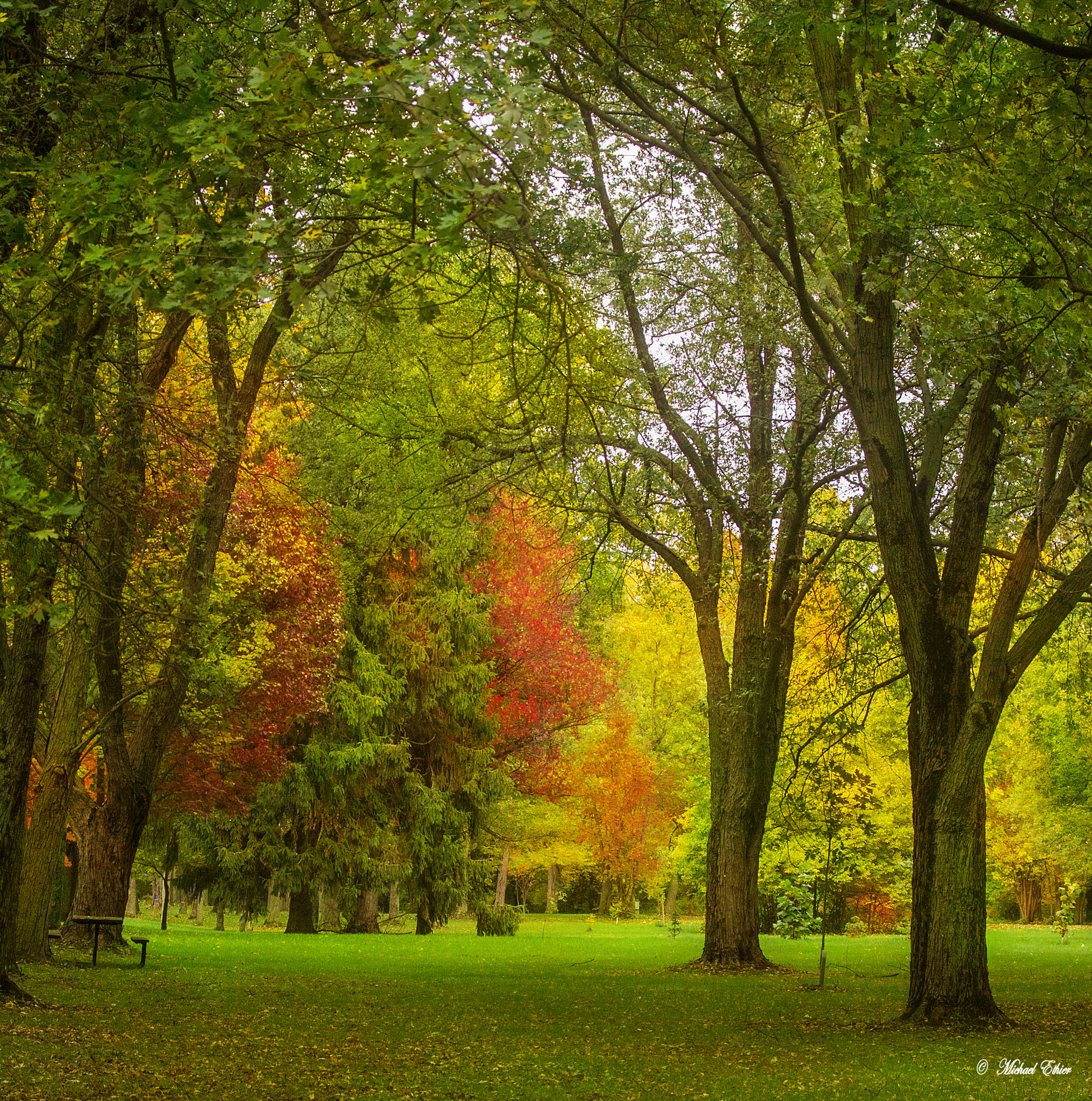 Sigma 28-80mm f/3.5-5.6 II Macro sample photo. Fall colours photography