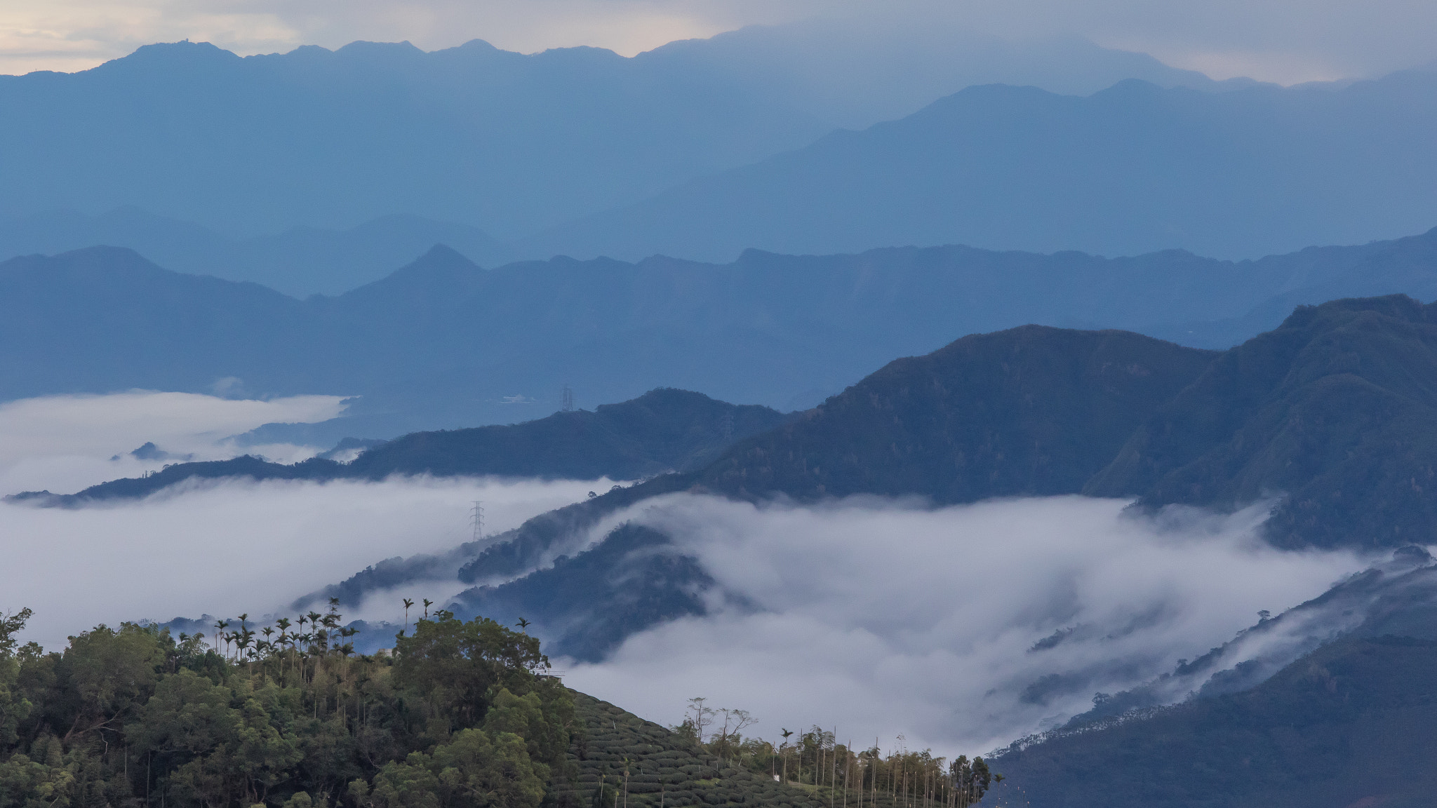 Canon EOS 7D Mark II + Canon EF 80-200mm f/2.8L sample photo. Sea of clouds photography