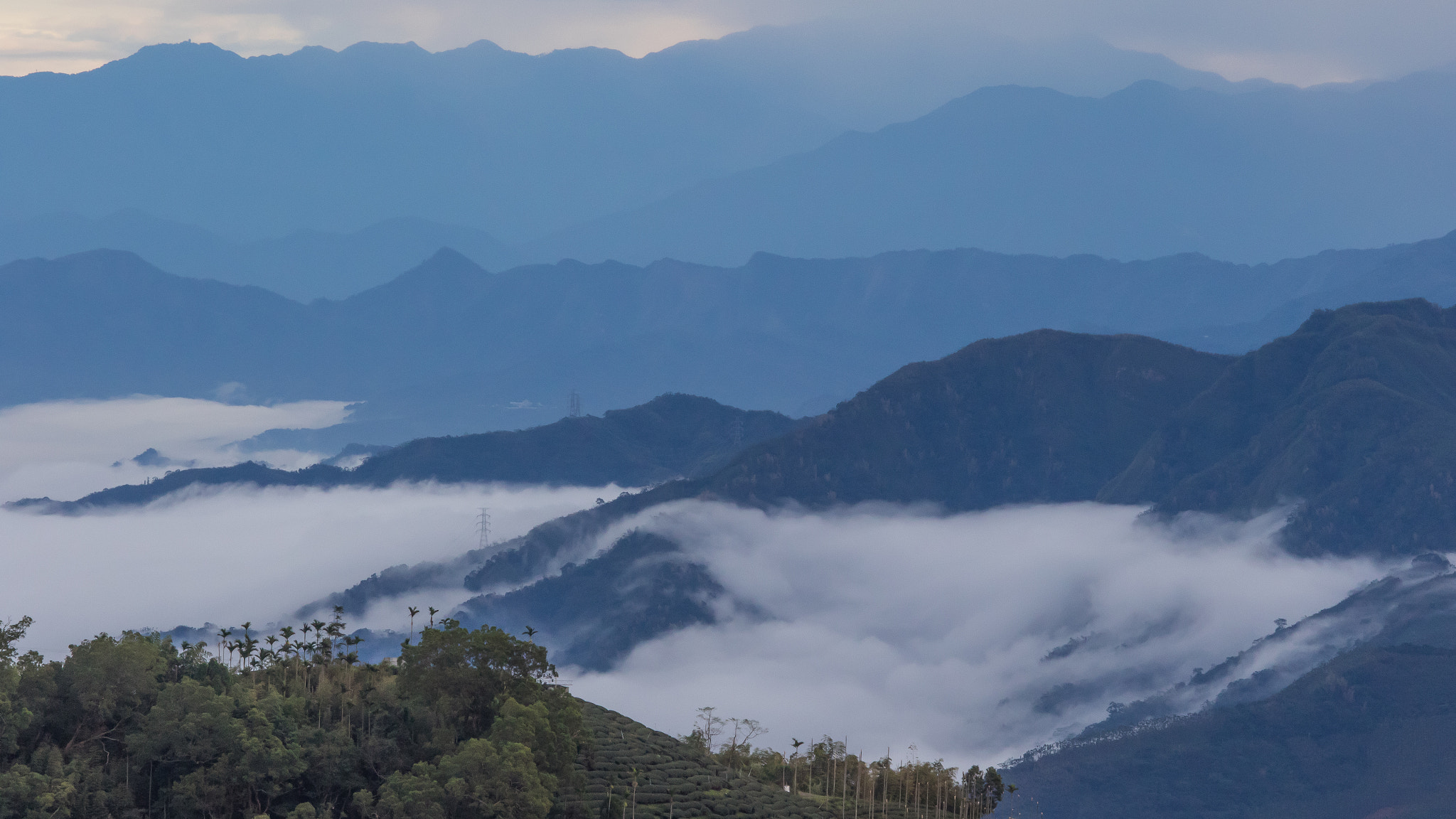 Canon EF 80-200mm f/2.8L sample photo. Sea of clouds photography